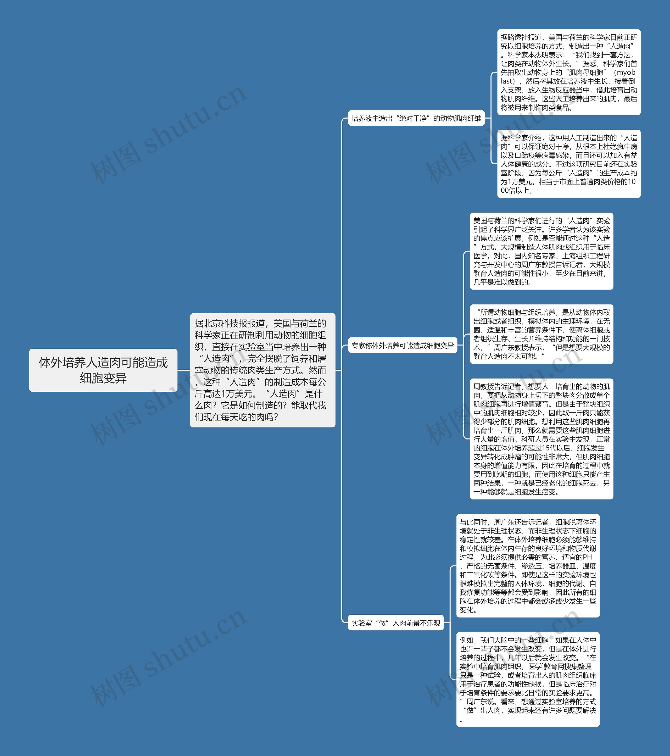 体外培养人造肉可能造成细胞变异思维导图