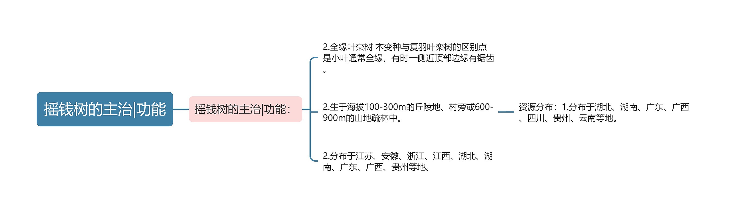 摇钱树的主治|功能思维导图