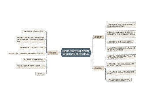 自发性气胸护理要点/病情观察/对症处理/健康指导