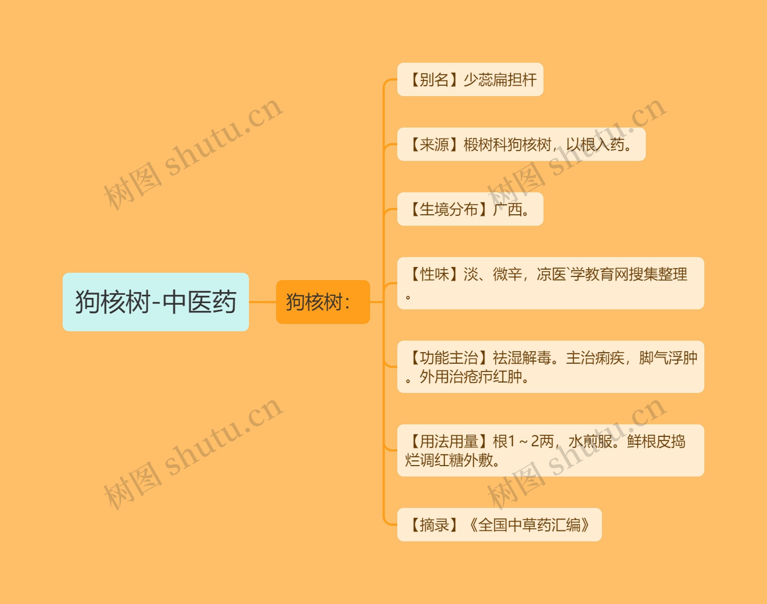 狗核树-中医药思维导图