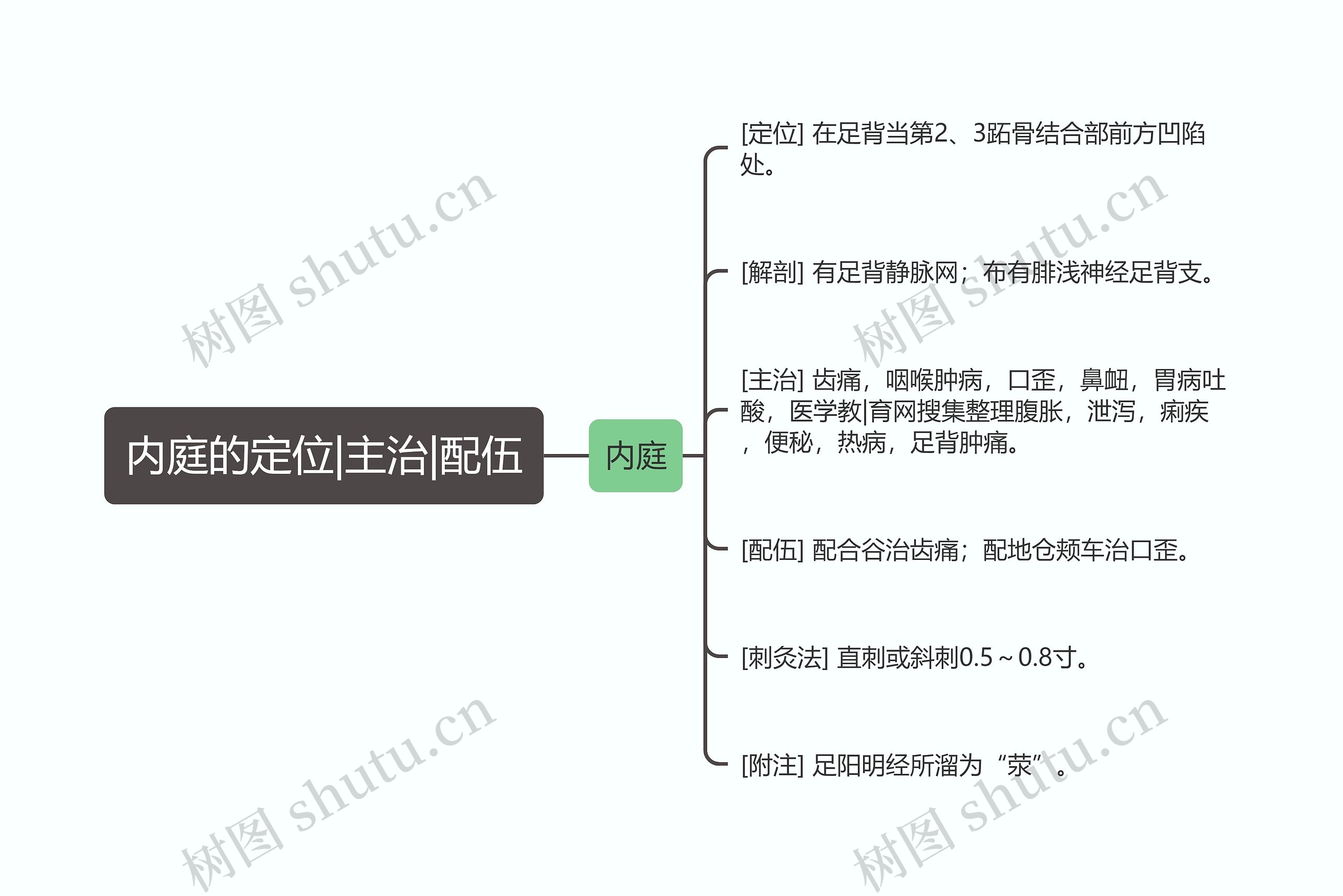 内庭的定位|主治|配伍思维导图