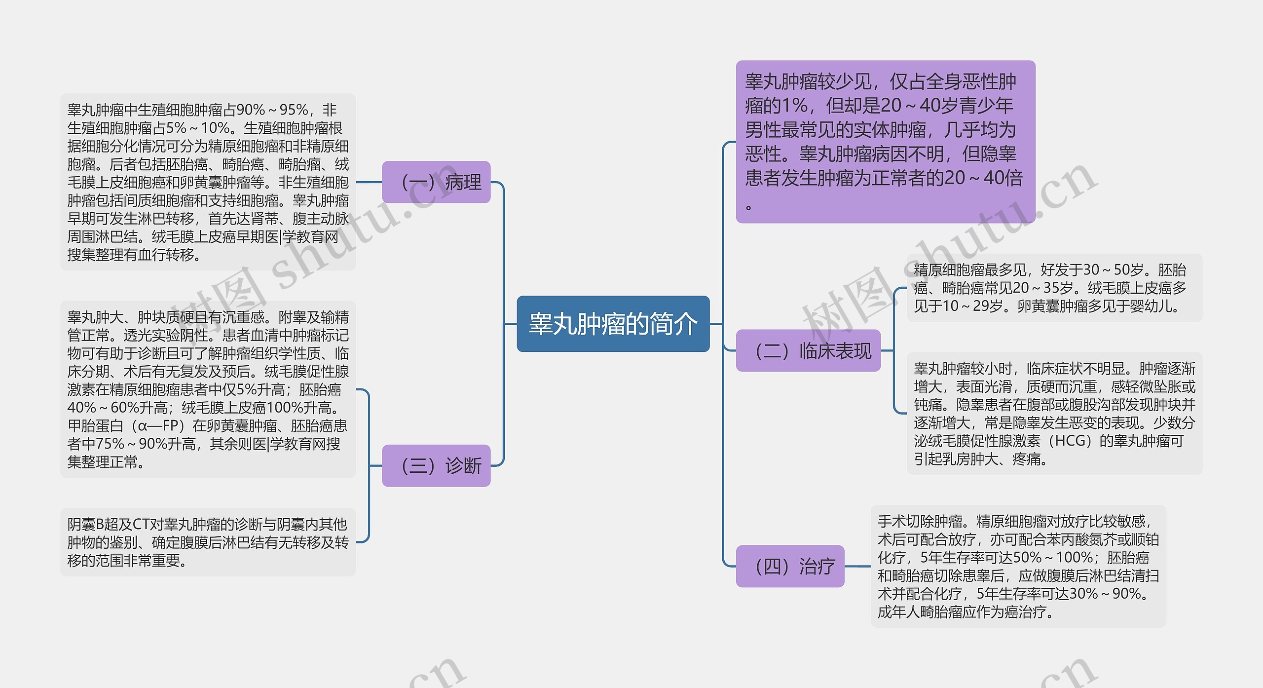 睾丸肿瘤的简介思维导图