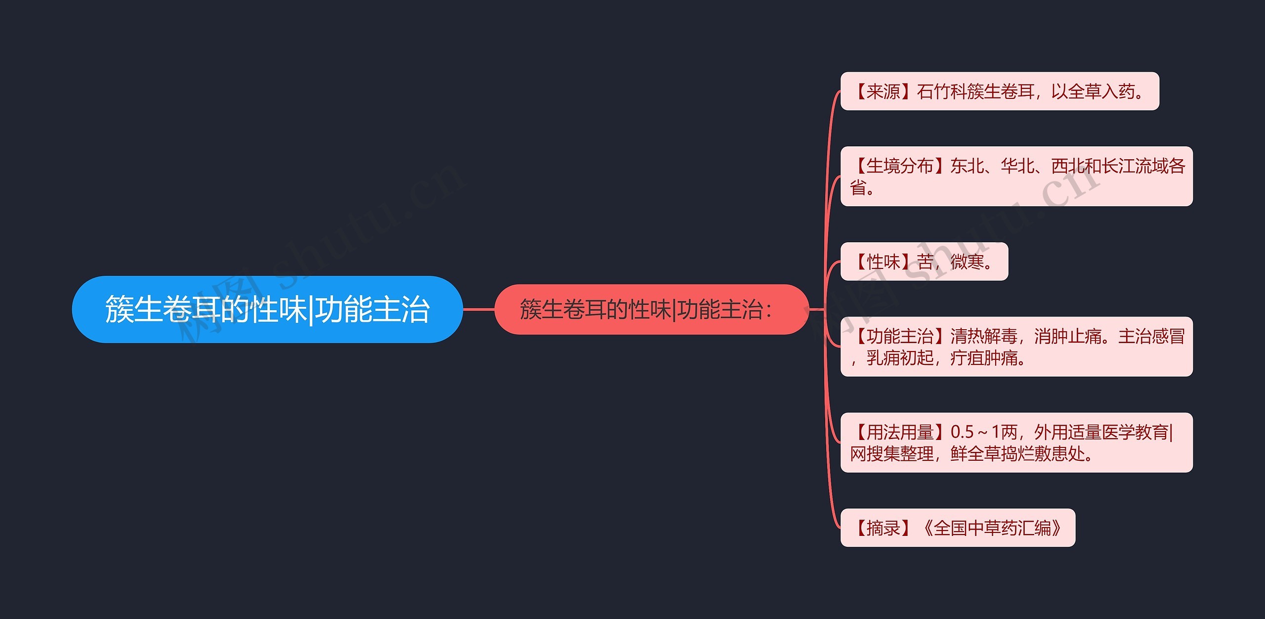 簇生卷耳的性味|功能主治思维导图