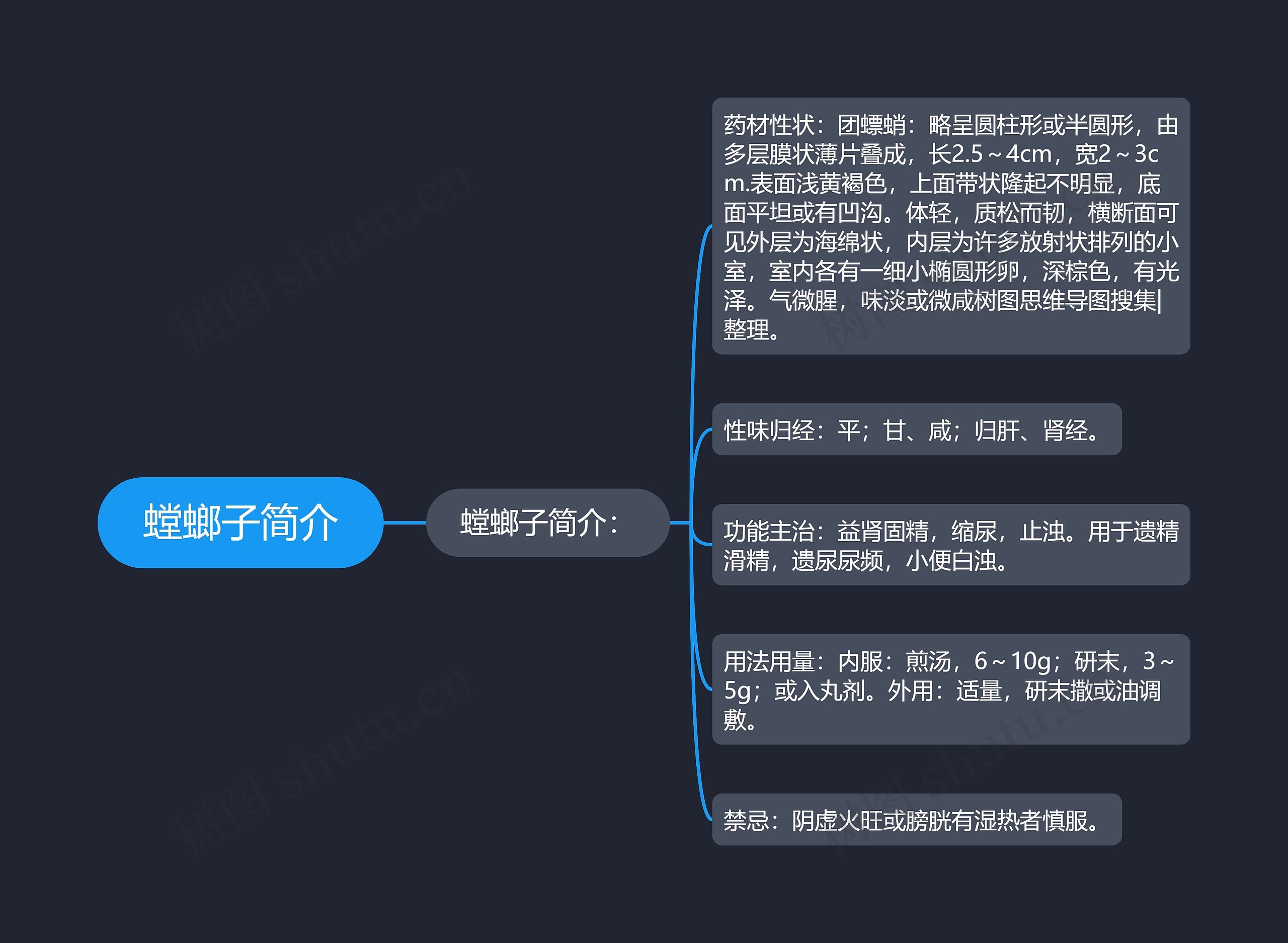 螳螂子简介