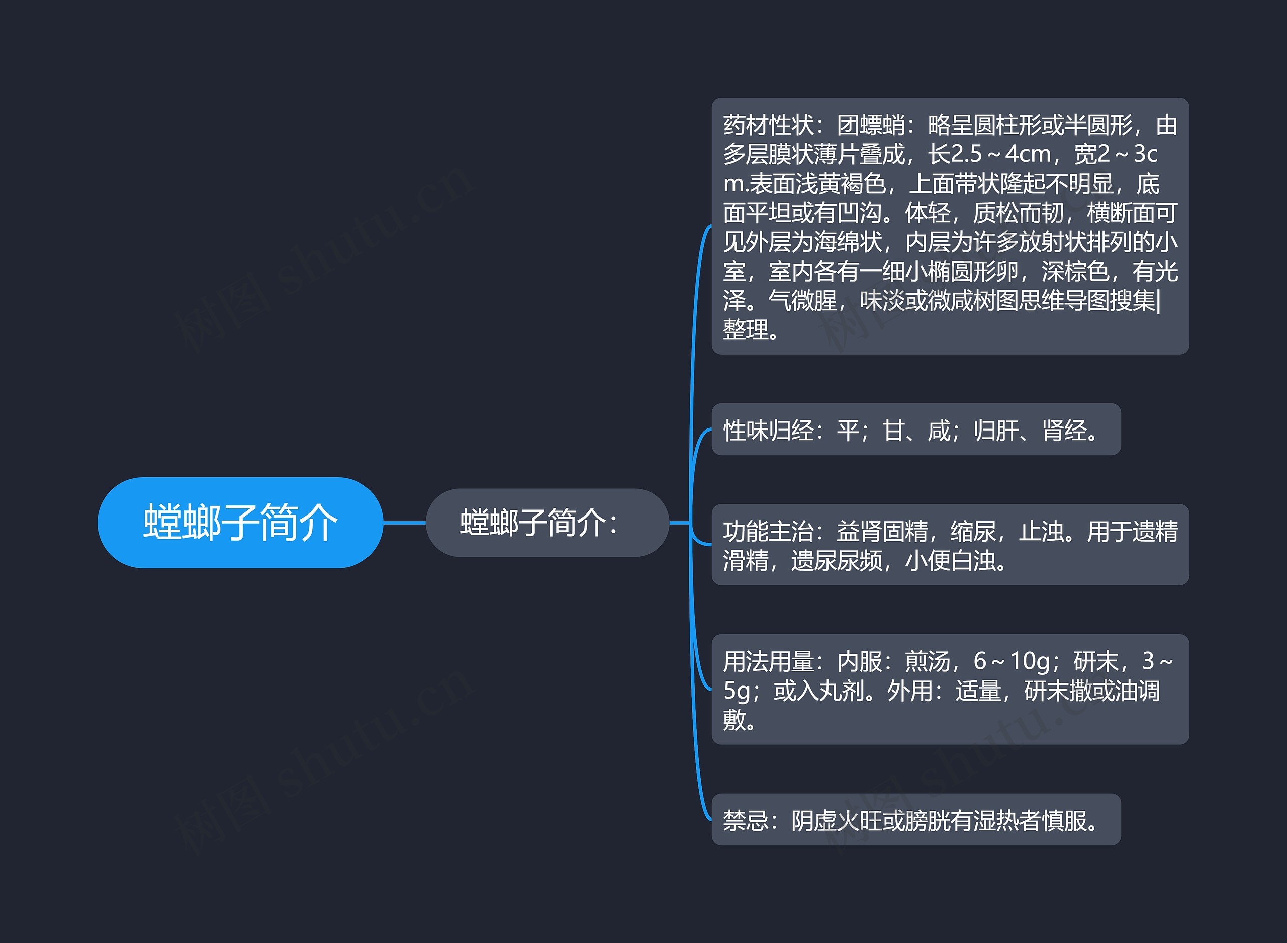 螳螂子简介思维导图