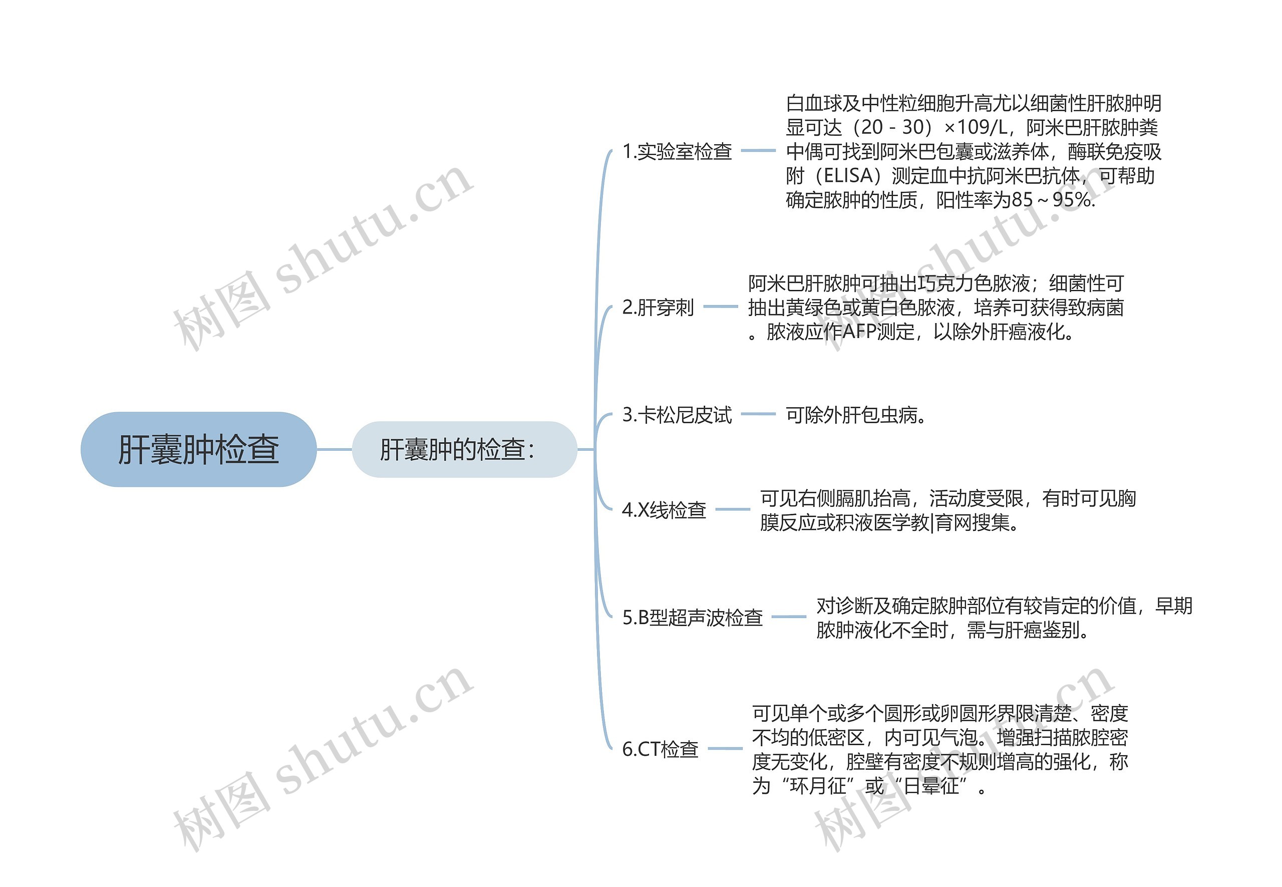 肝囊肿检查思维导图