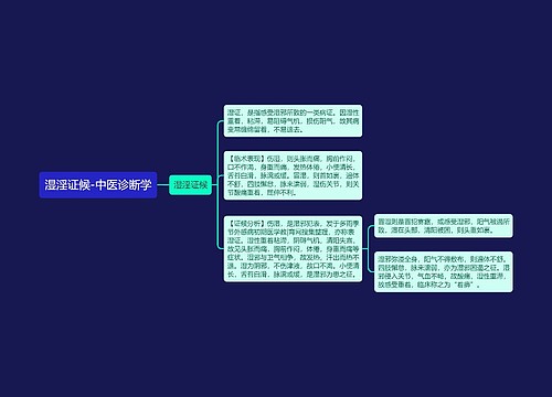 湿淫证候-中医诊断学