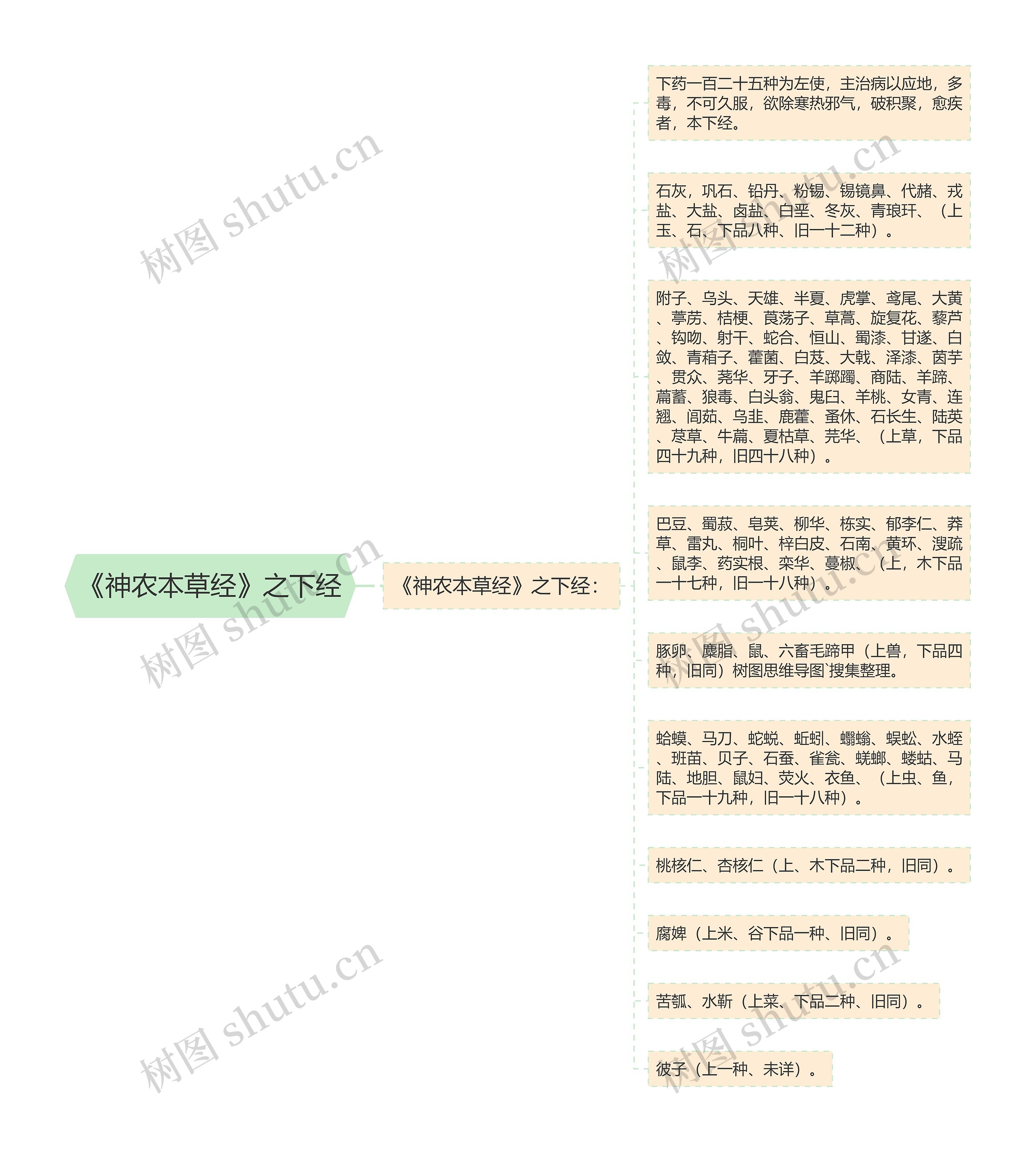 《神农本草经》之下经思维导图