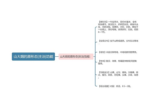 山大烟的原形态|主治|功能