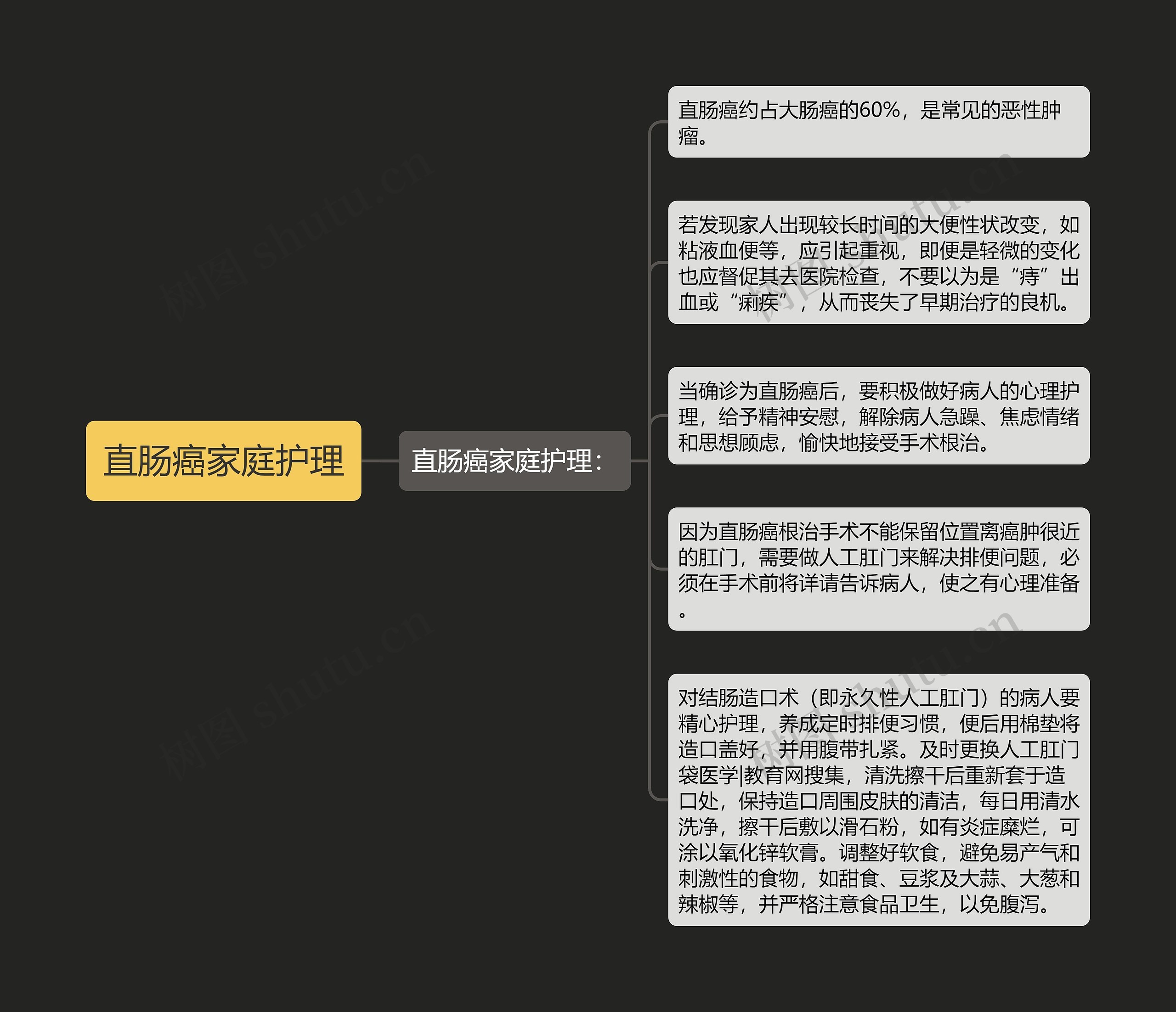 直肠癌家庭护理思维导图