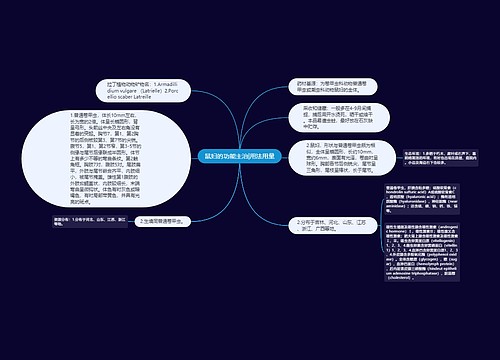 鼠妇的功能主治|用法用量