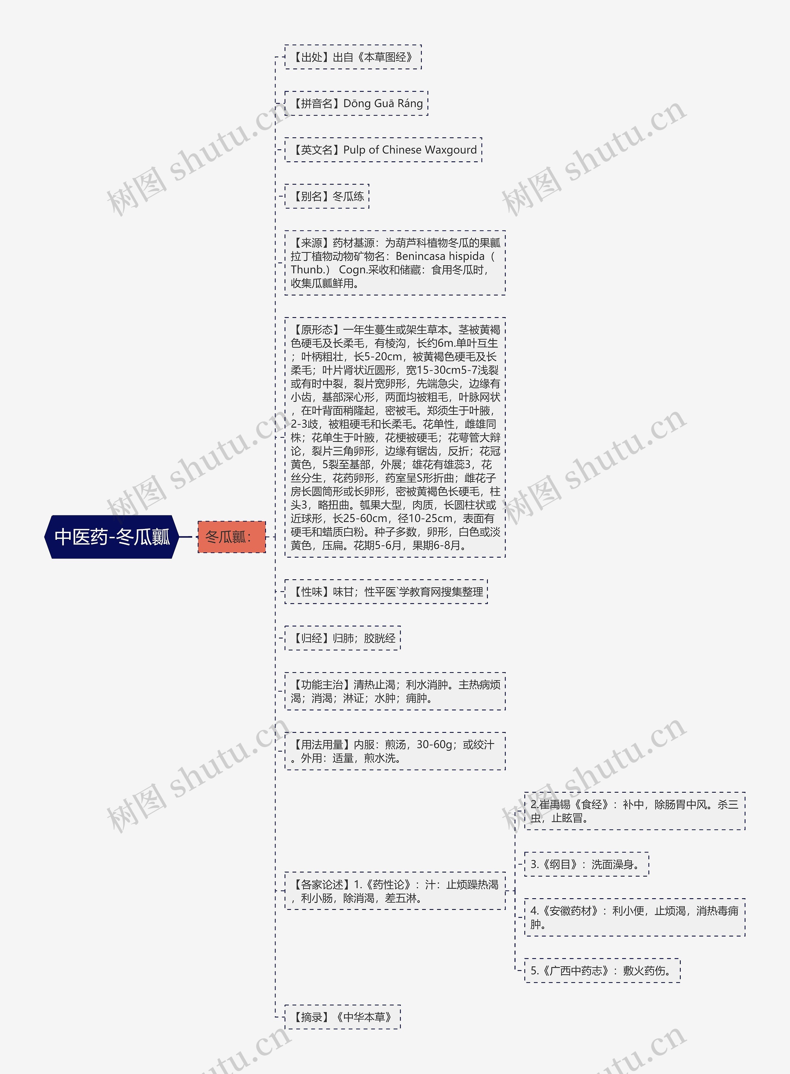 中医药-冬瓜瓤 中医药-冬瓜瓤