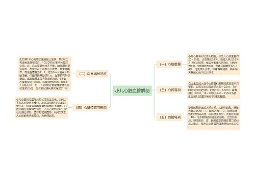 小儿心脏血管解剖