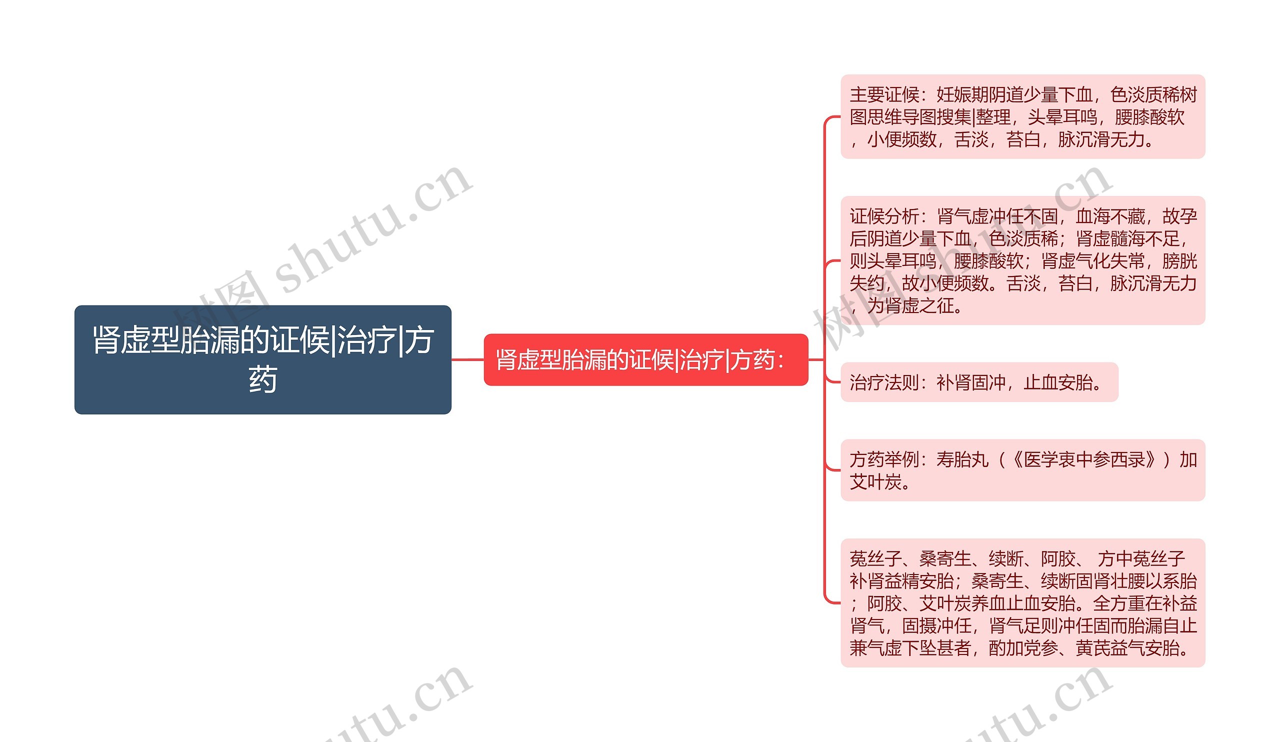 肾虚型胎漏的证候|治疗|方药思维导图