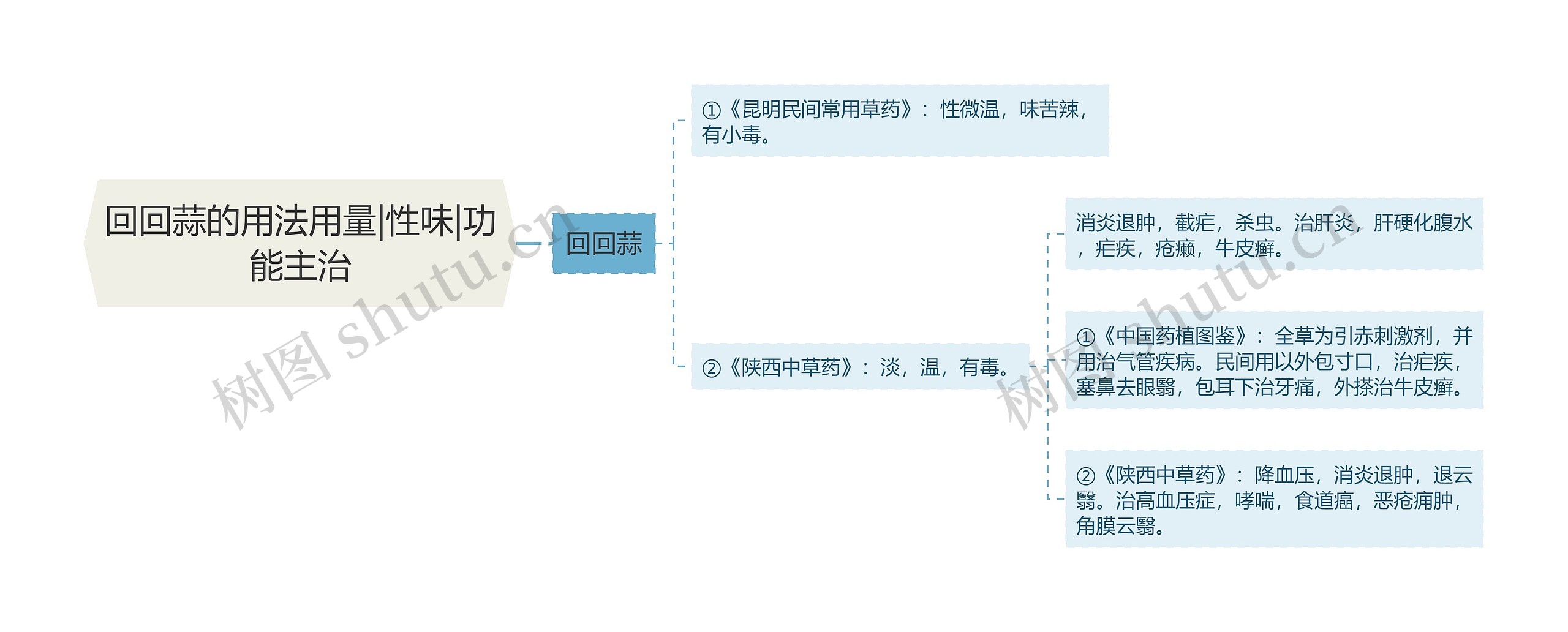 回回蒜的用法用量|性味|功能主治思维导图