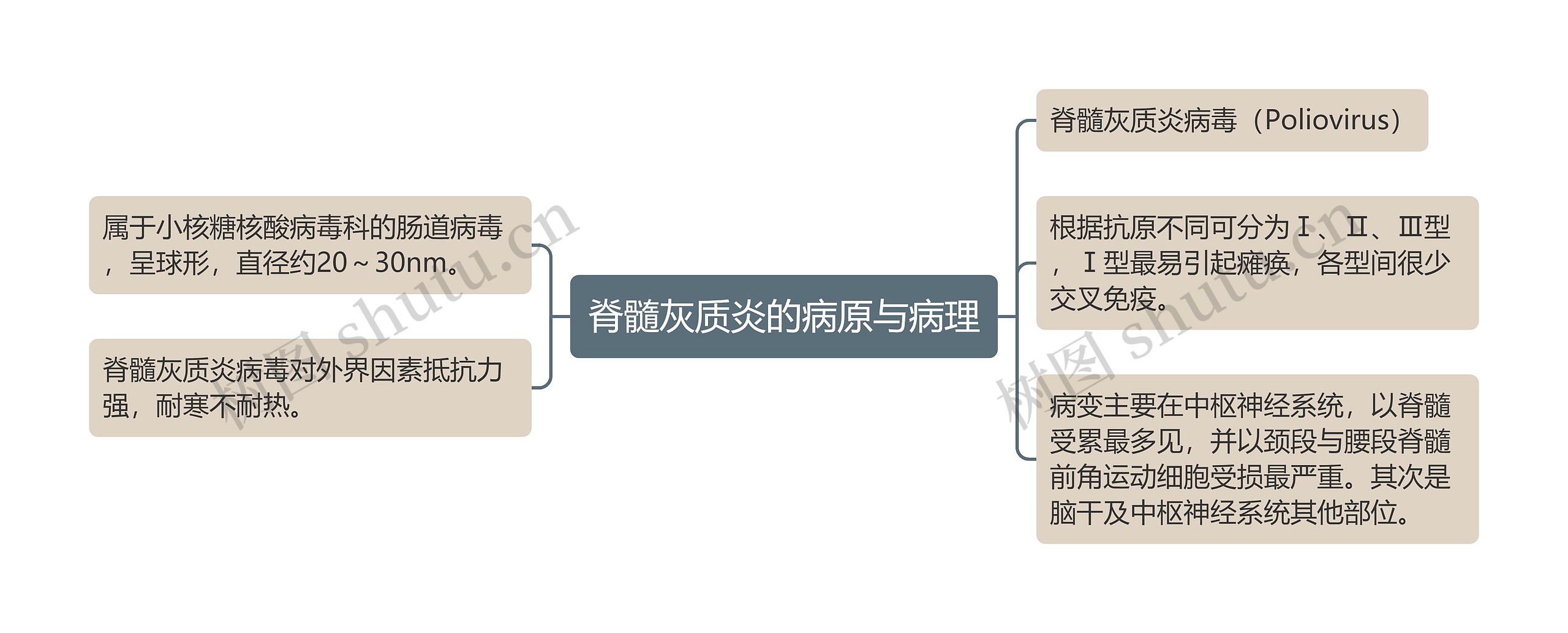 脊髓灰质炎的病原与病理