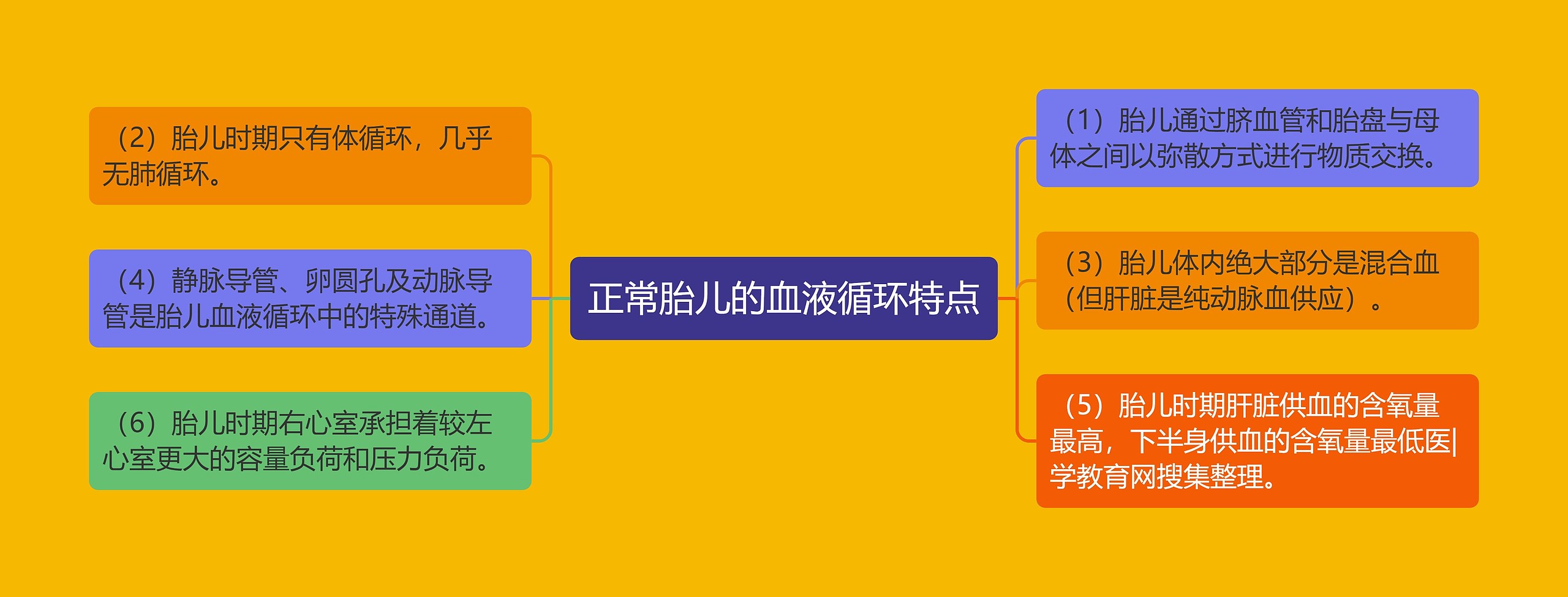 正常胎儿的血液循环特点