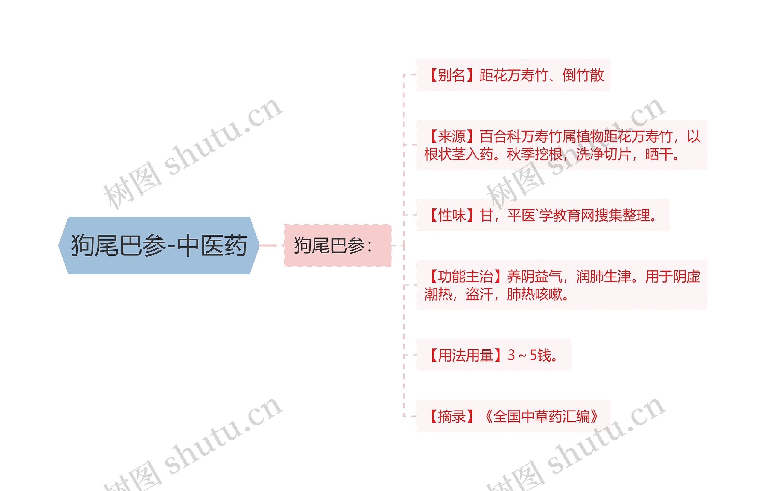 狗尾巴参-中医药 狗尾巴参-中医药