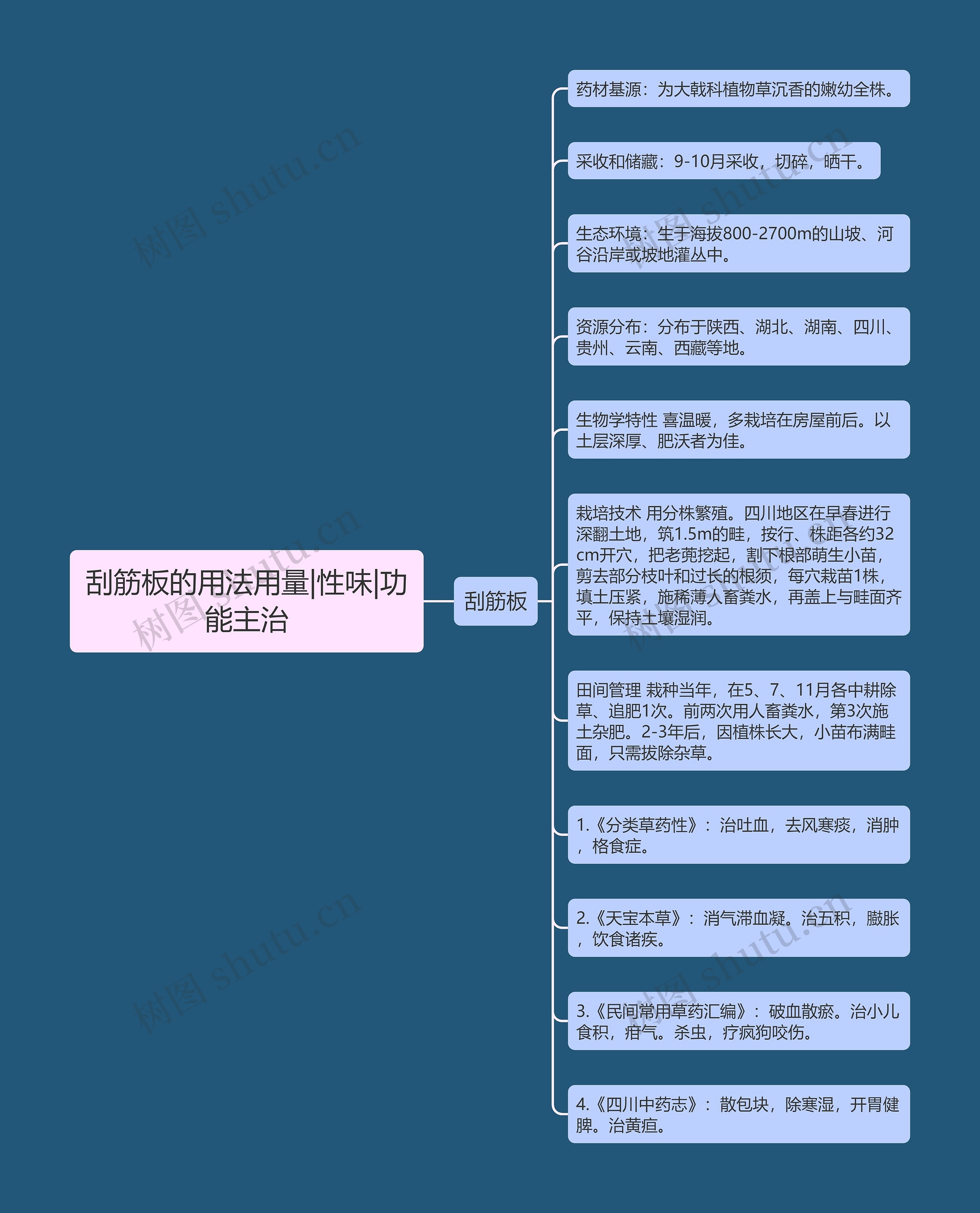 刮筋板的用法用量|性味|功能主治