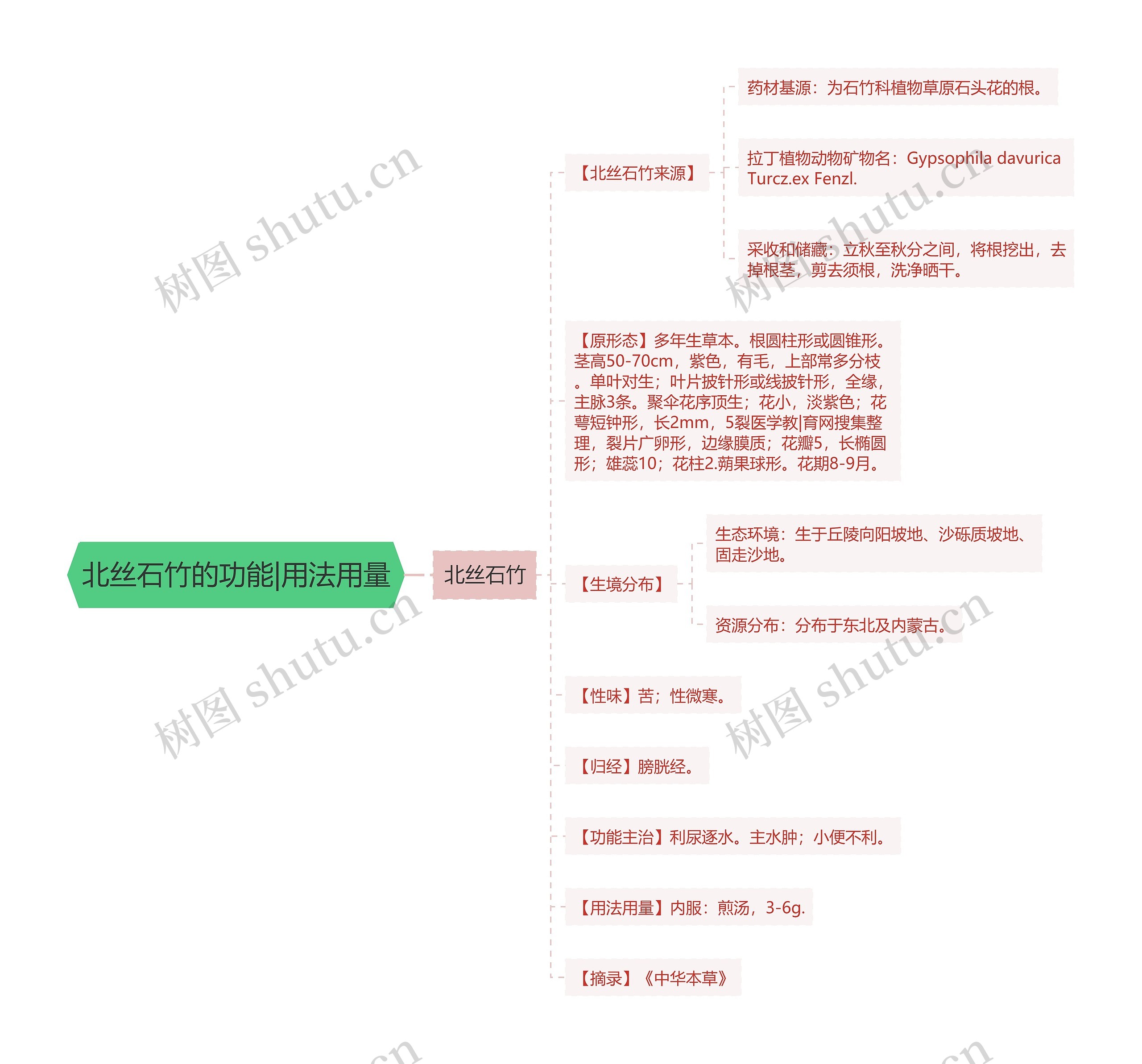 北丝石竹的功能|用法用量思维导图