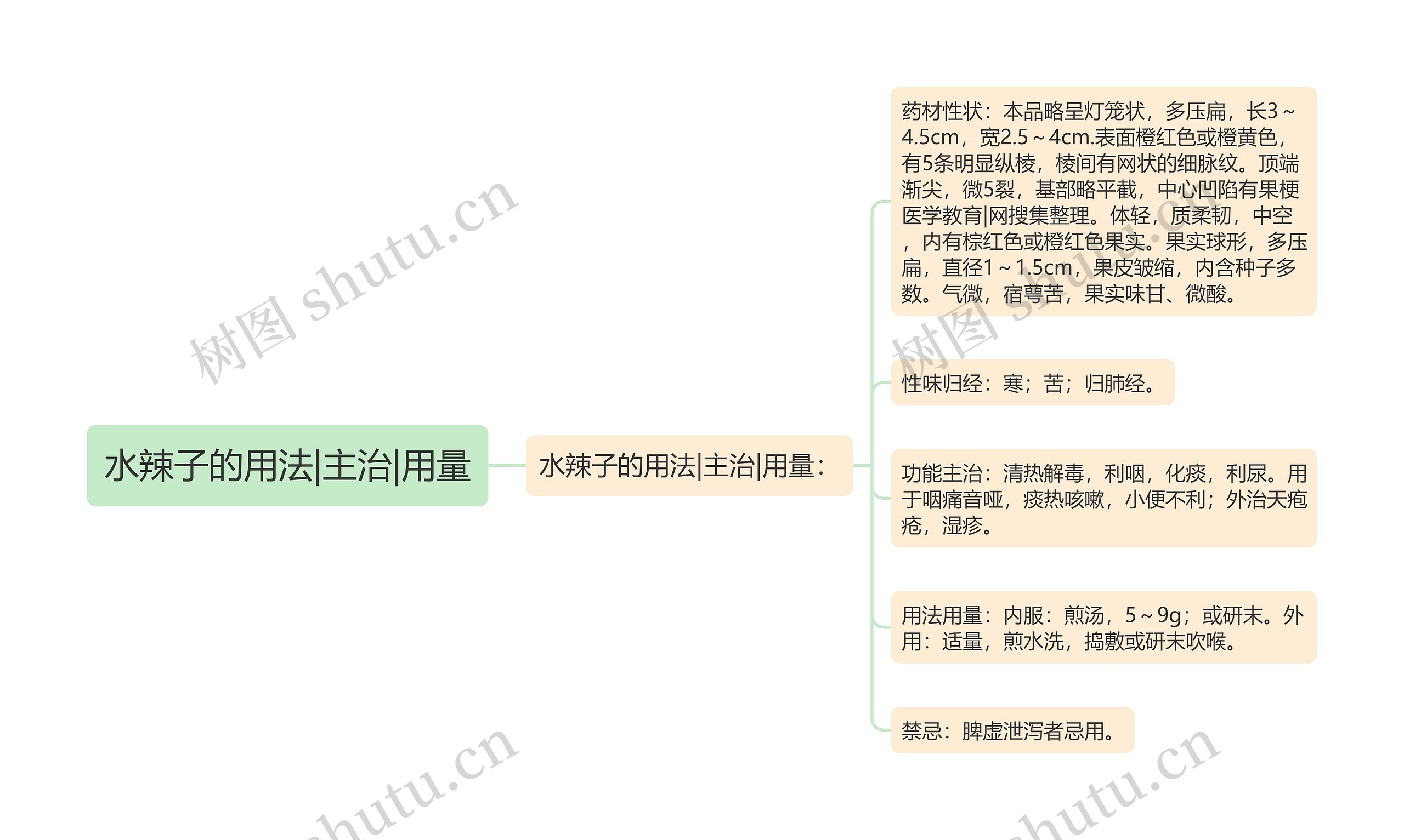 水辣子的用法|主治|用量思维导图