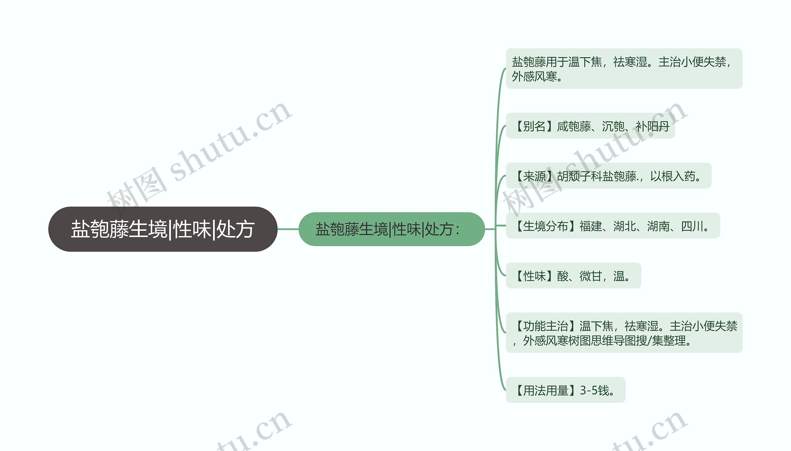 盐匏藤生境|性味|处方思维导图