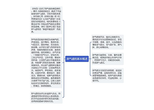 肺气虚的基本概述