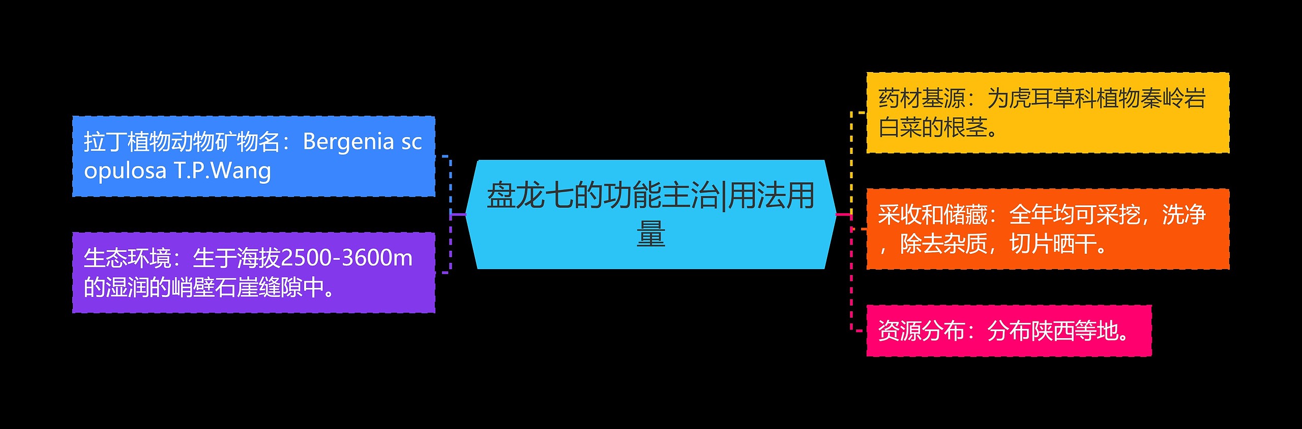 盘龙七的功能主治|用法用量 盘龙七的功能主治|用法用量