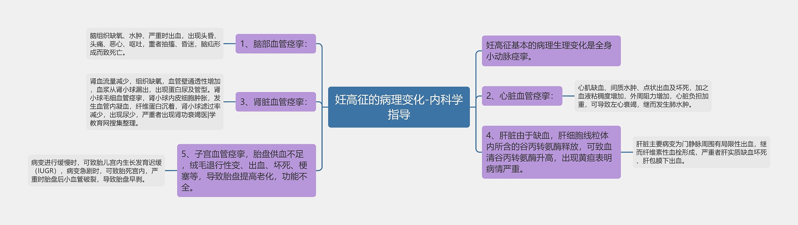 妊高征的病理变化-内科学指导思维导图