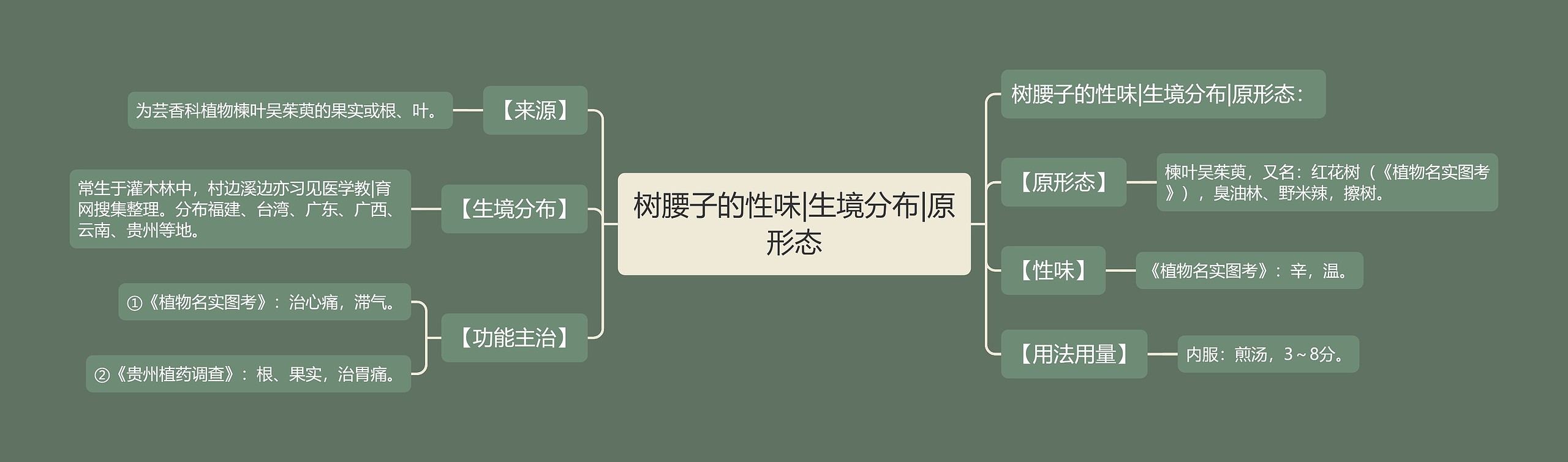 树腰子的性味|生境分布|原形态 树腰子的性味|生境分布|原形态