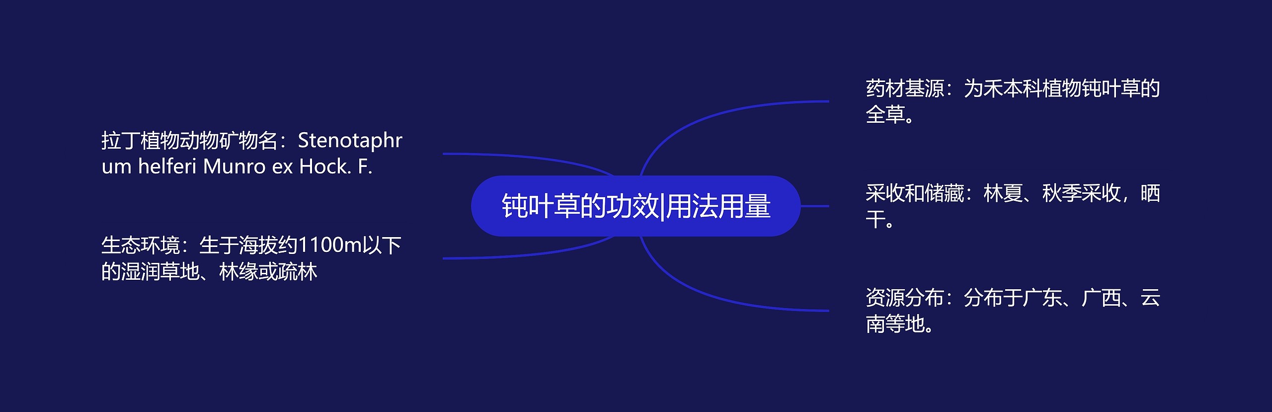 钝叶草的功效|用法用量思维导图