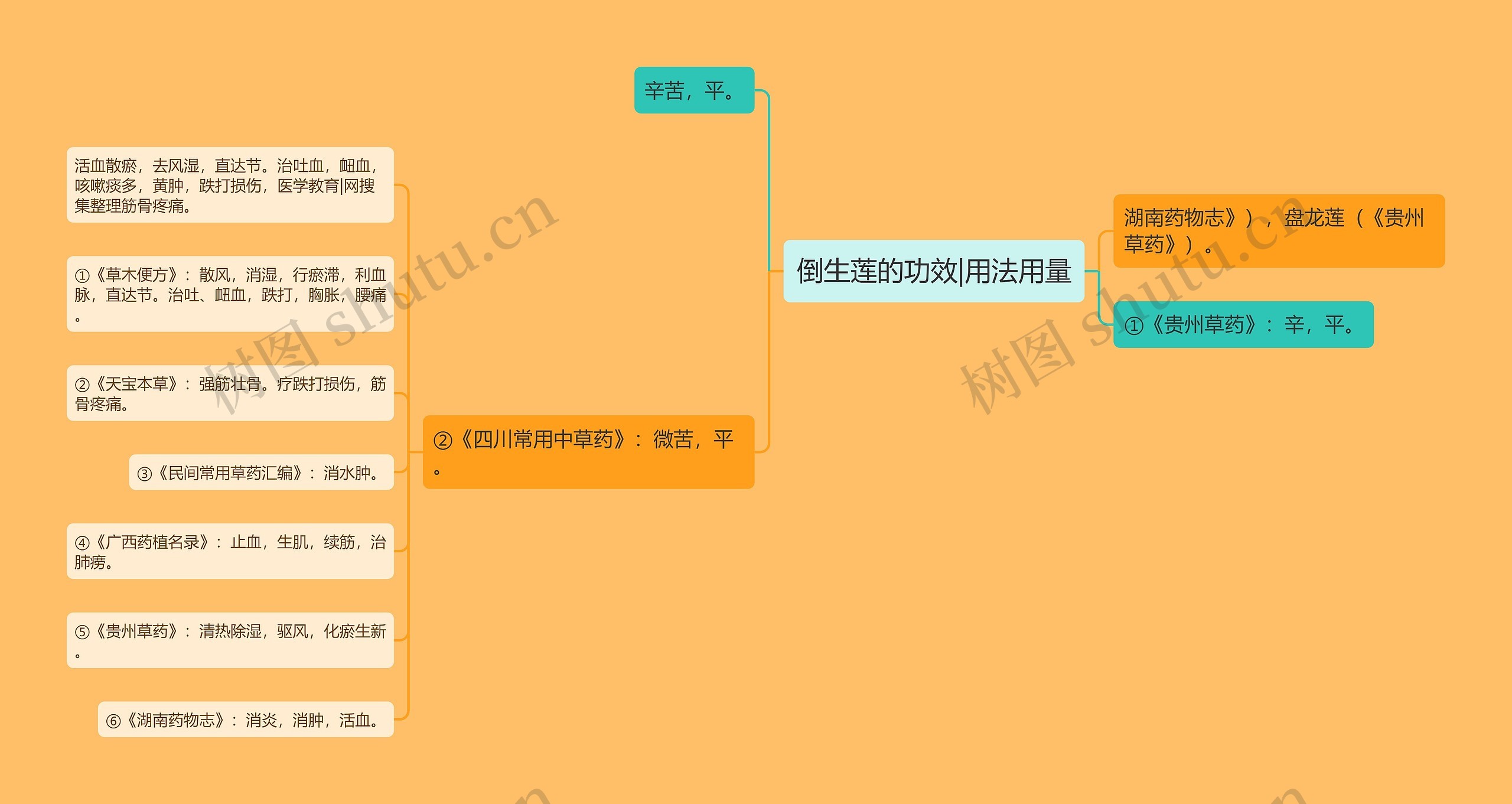 倒生莲的功效|用法用量