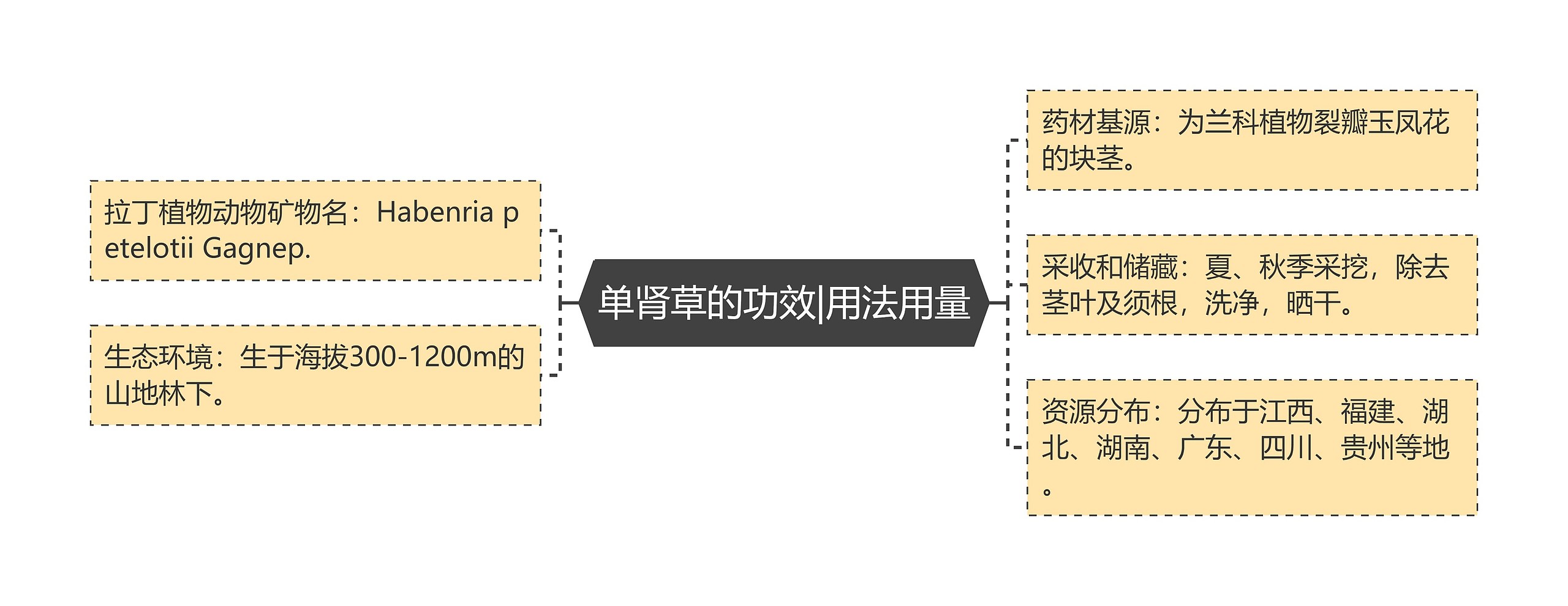 单肾草的功效|用法用量思维导图