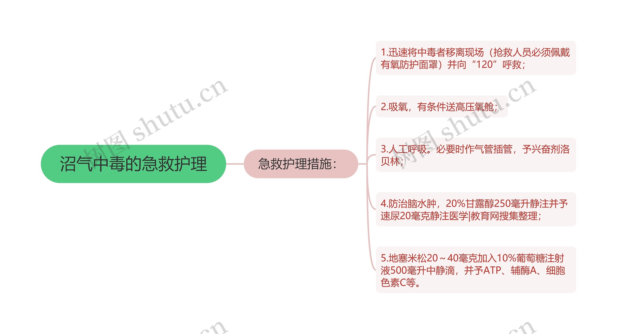 沼气中毒的急救护理思维导图