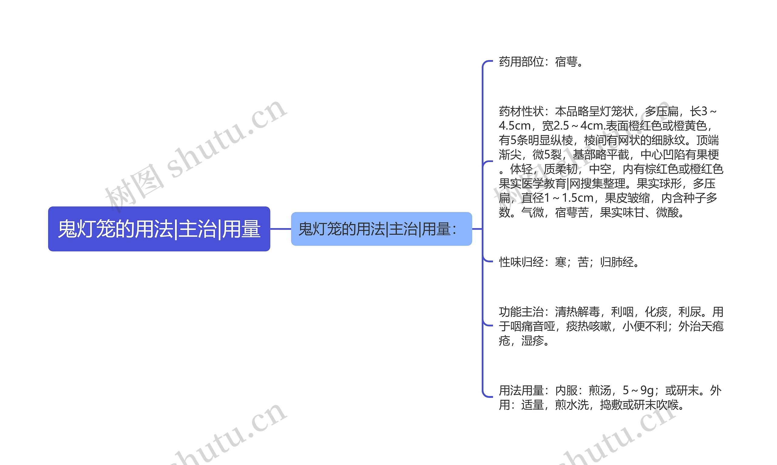 鬼灯笼的用法|主治|用量