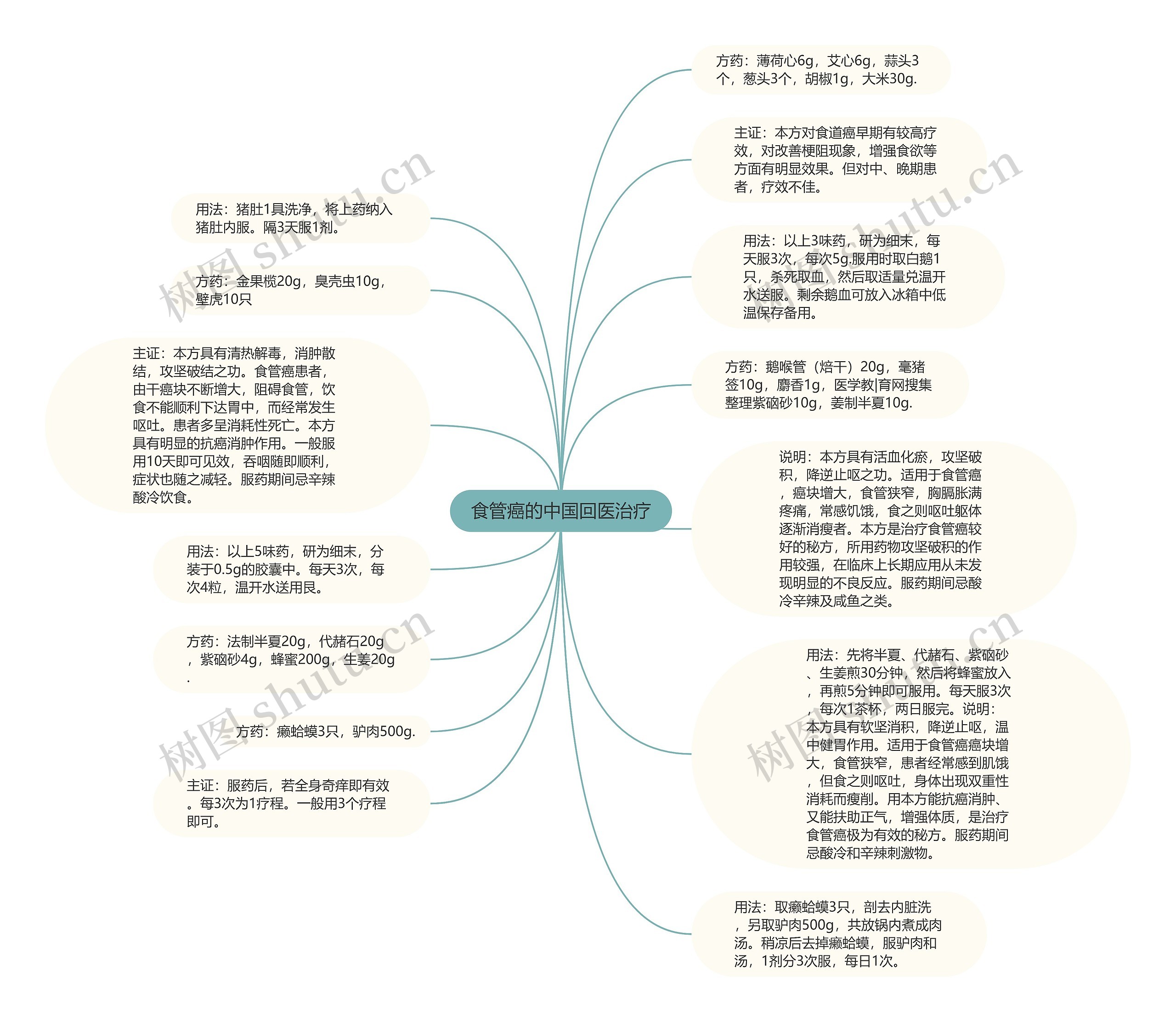 食管癌的中国回医治疗思维导图