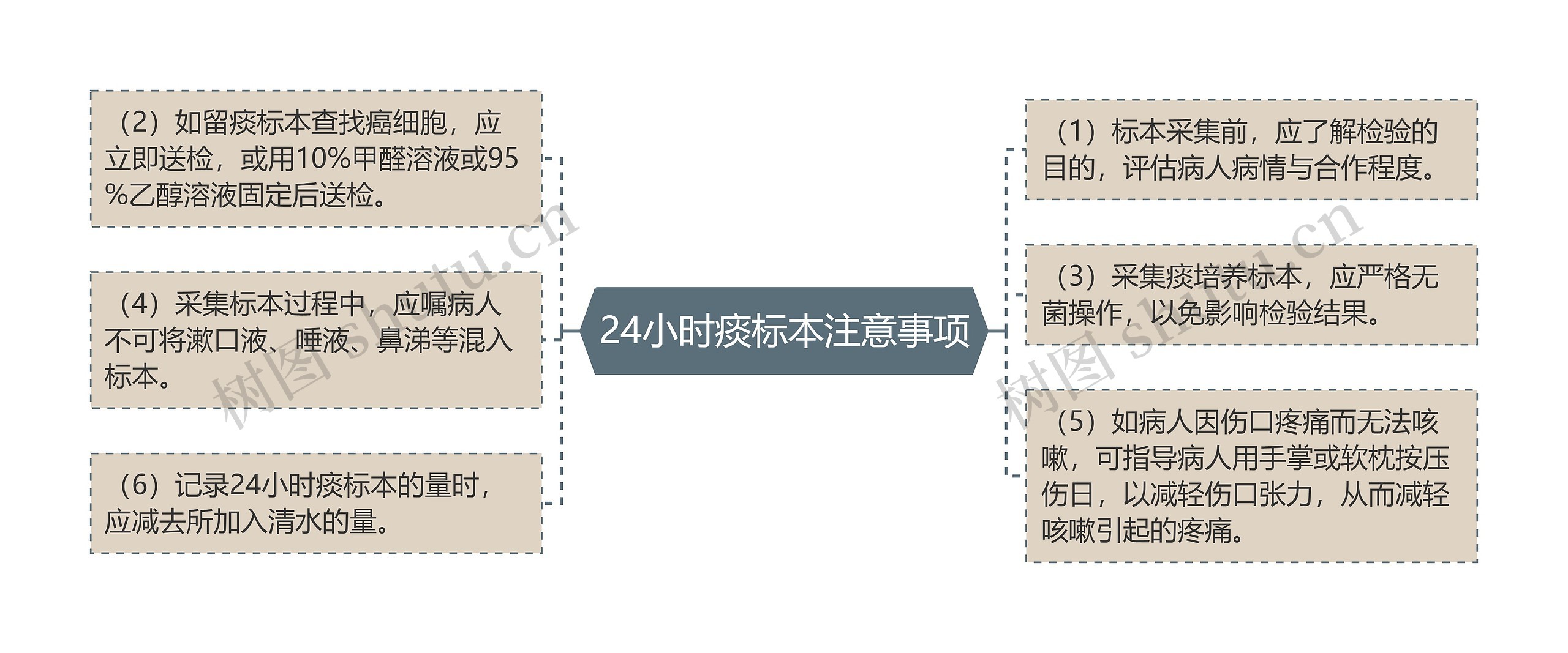 24小时痰标本注意事项思维导图