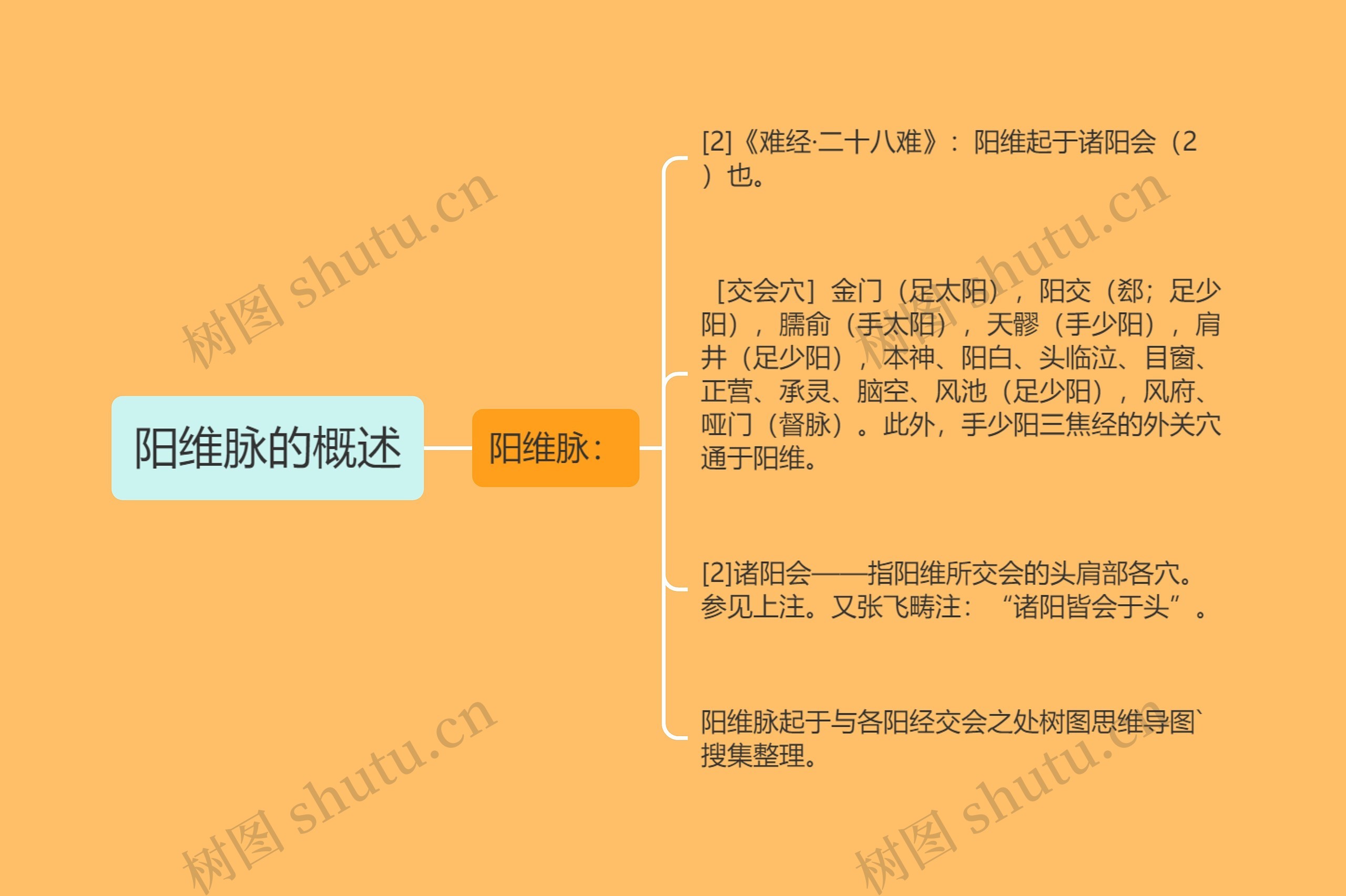 阳维脉的概述思维导图