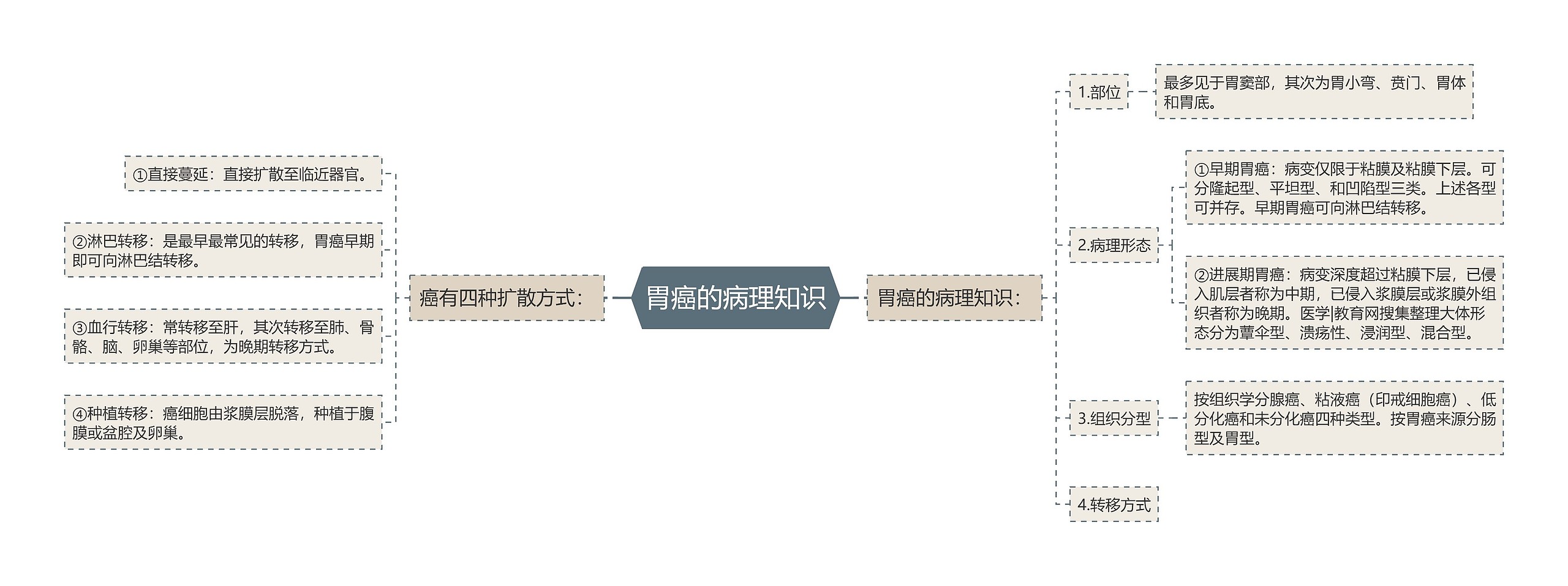 胃癌的病理知识思维导图