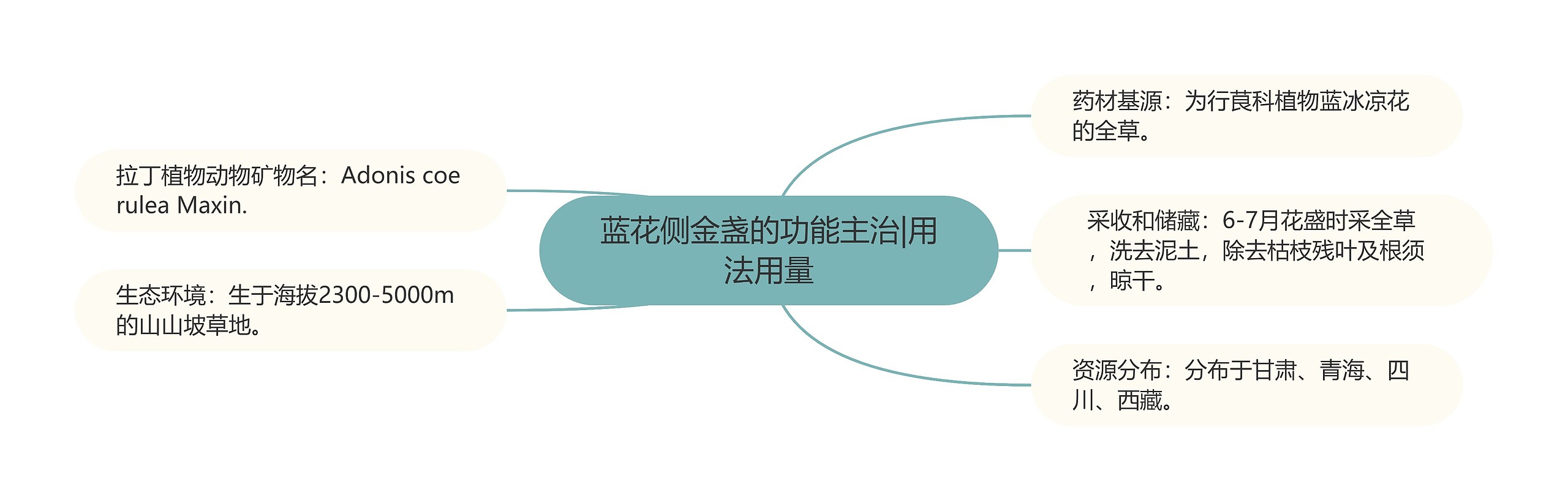 蓝花侧金盏的功能主治|用法用量 蓝花侧金盏的功能主治|用法用量