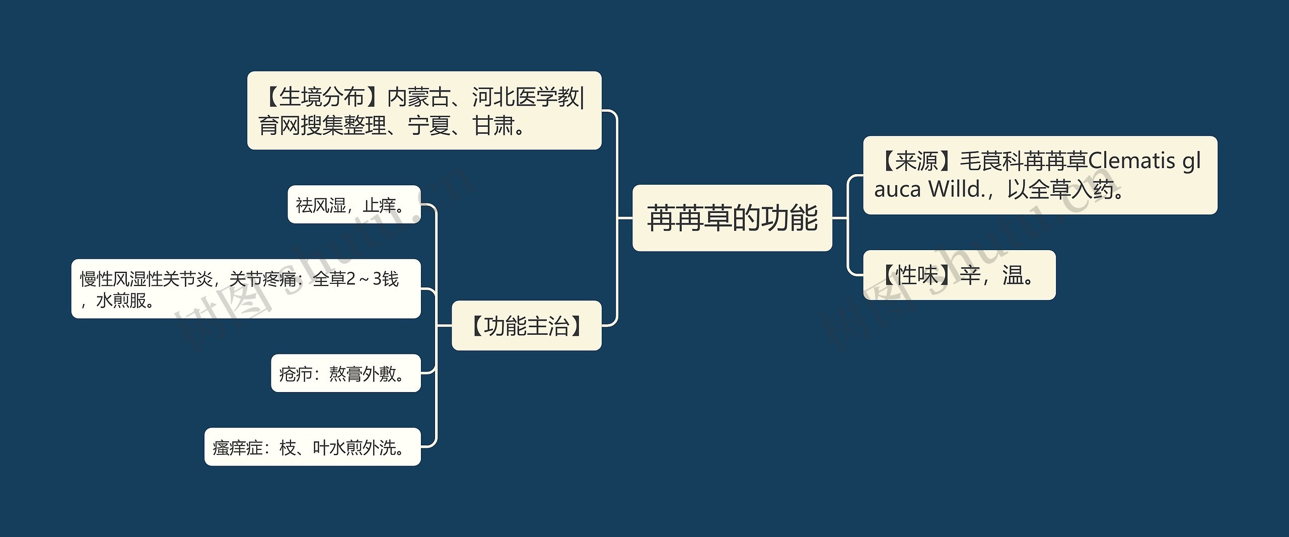 苒苒草的功能思维导图