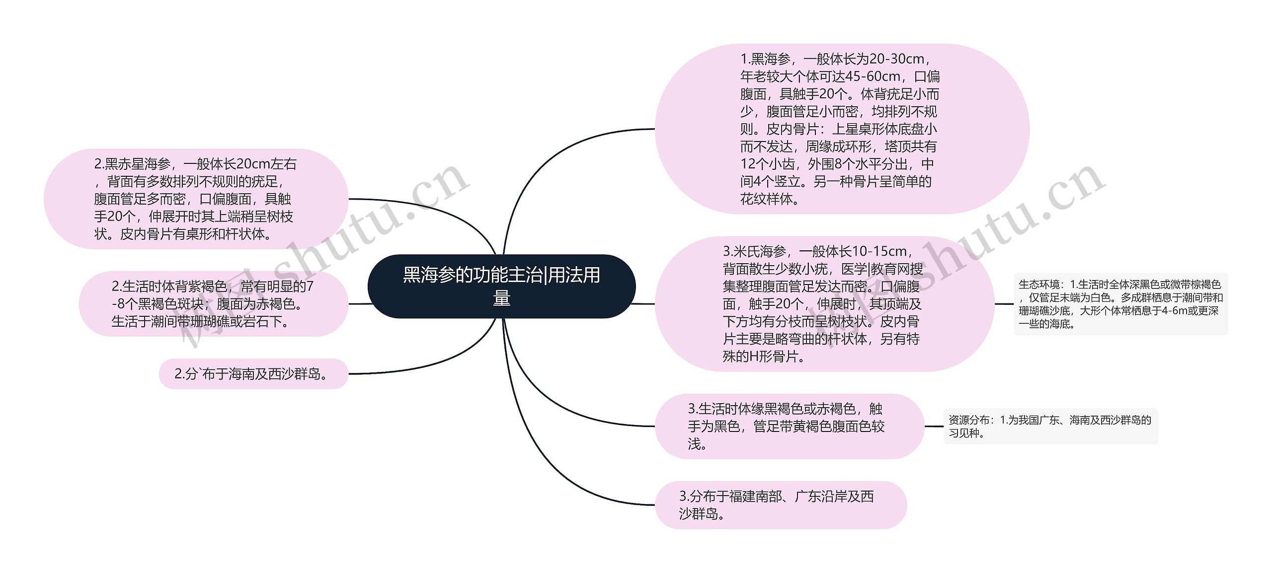 黑海参的功能主治|用法用量思维导图