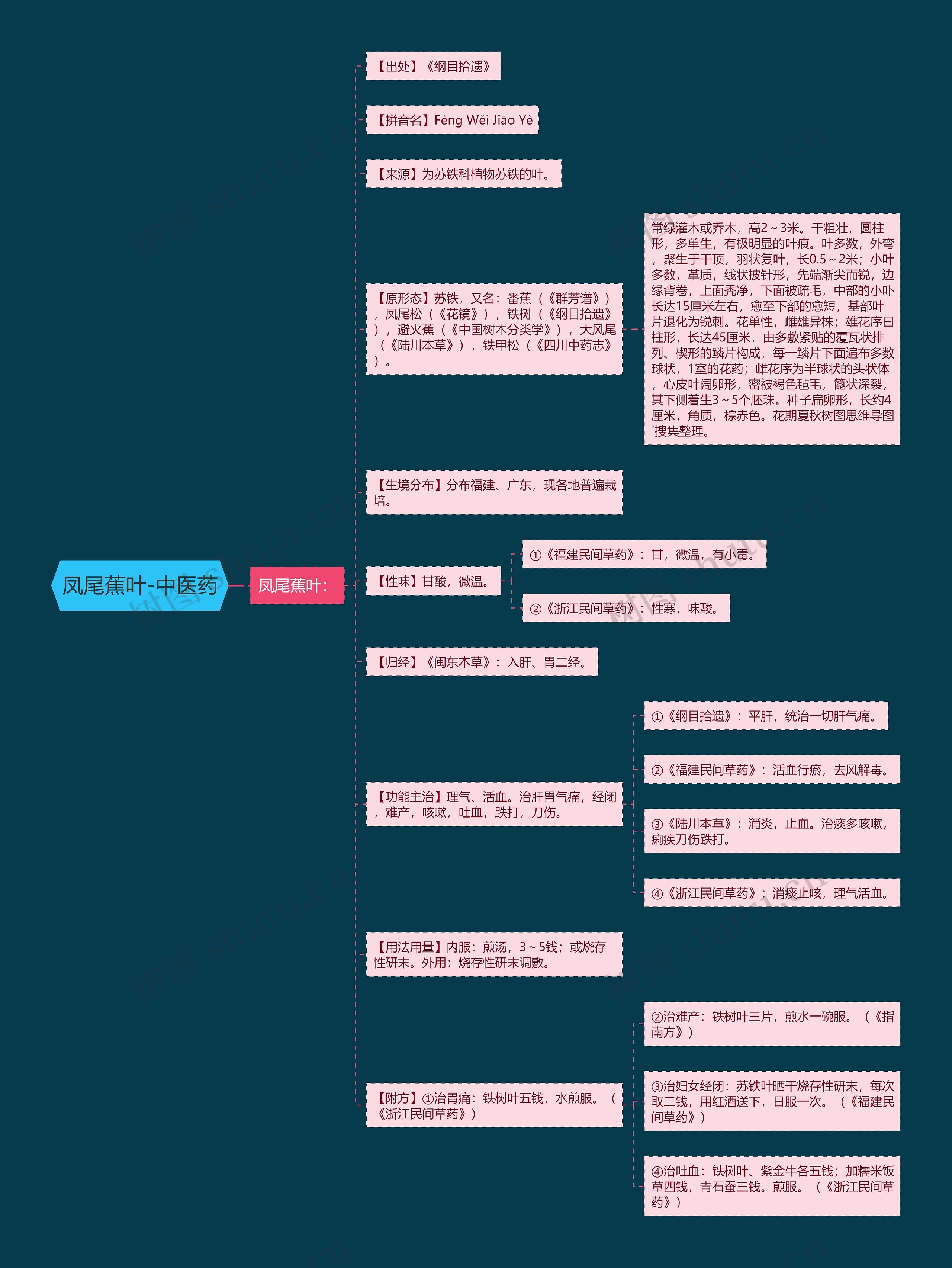 凤尾蕉叶-中医药 凤尾蕉叶-中医药