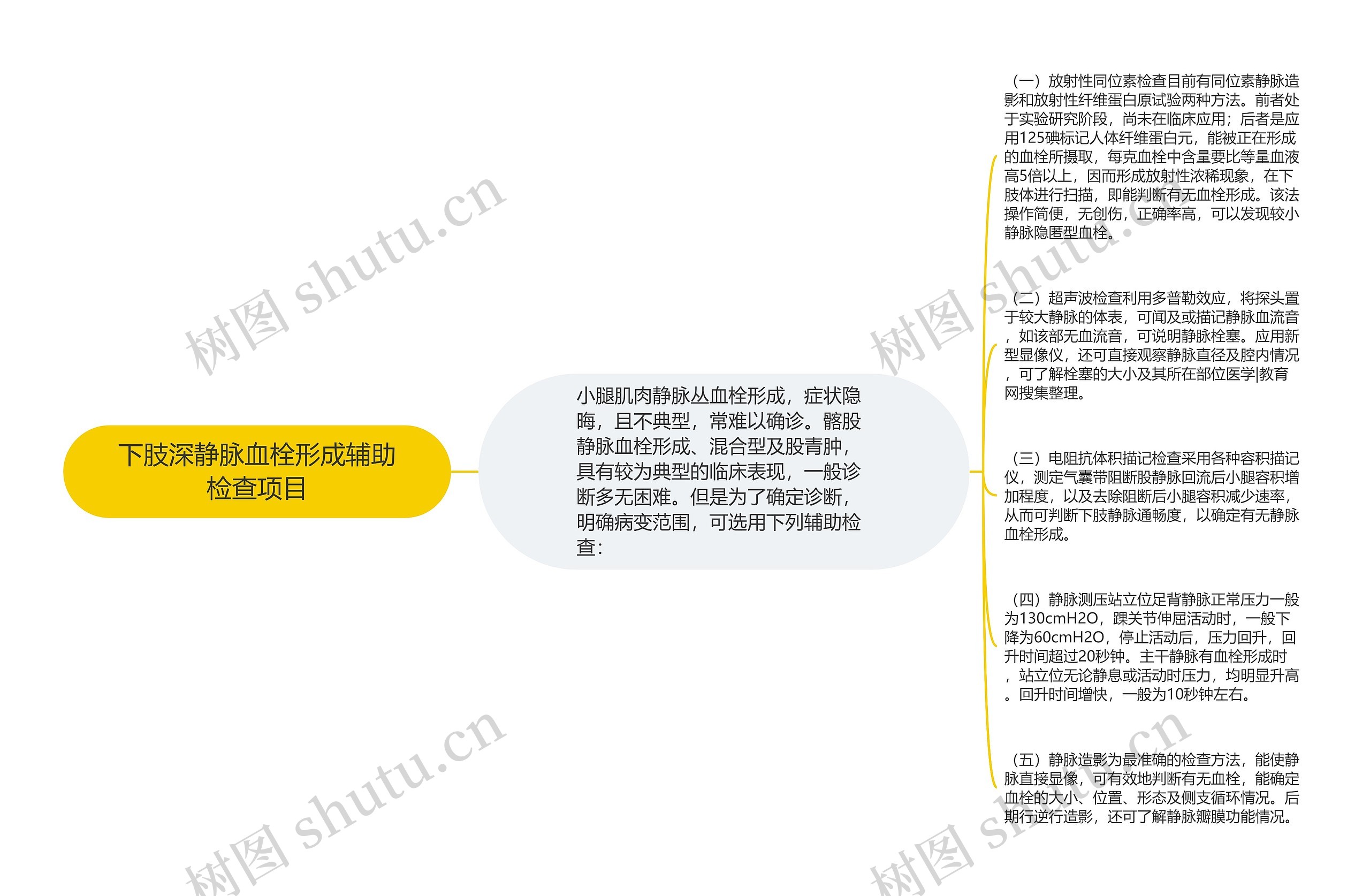 下肢深静脉血栓形成辅助检查项目 下肢深静脉血栓形成辅助检查项目