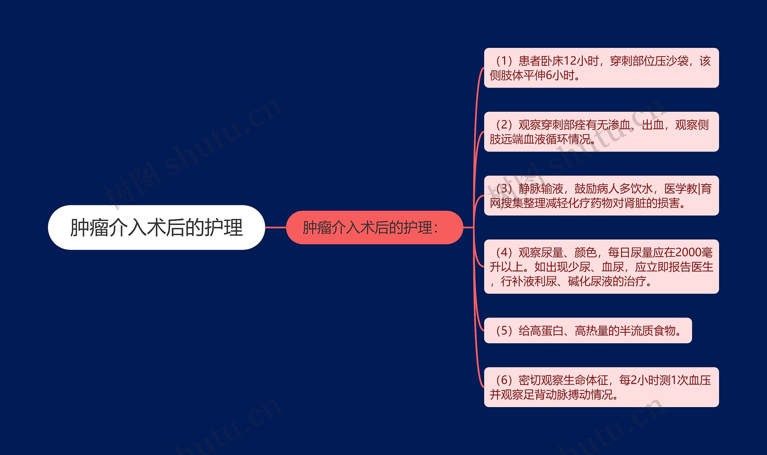 肿瘤介入术后的护理思维导图