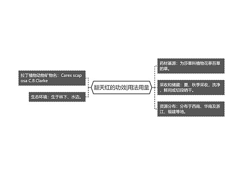 翻天红的功效|用法用量