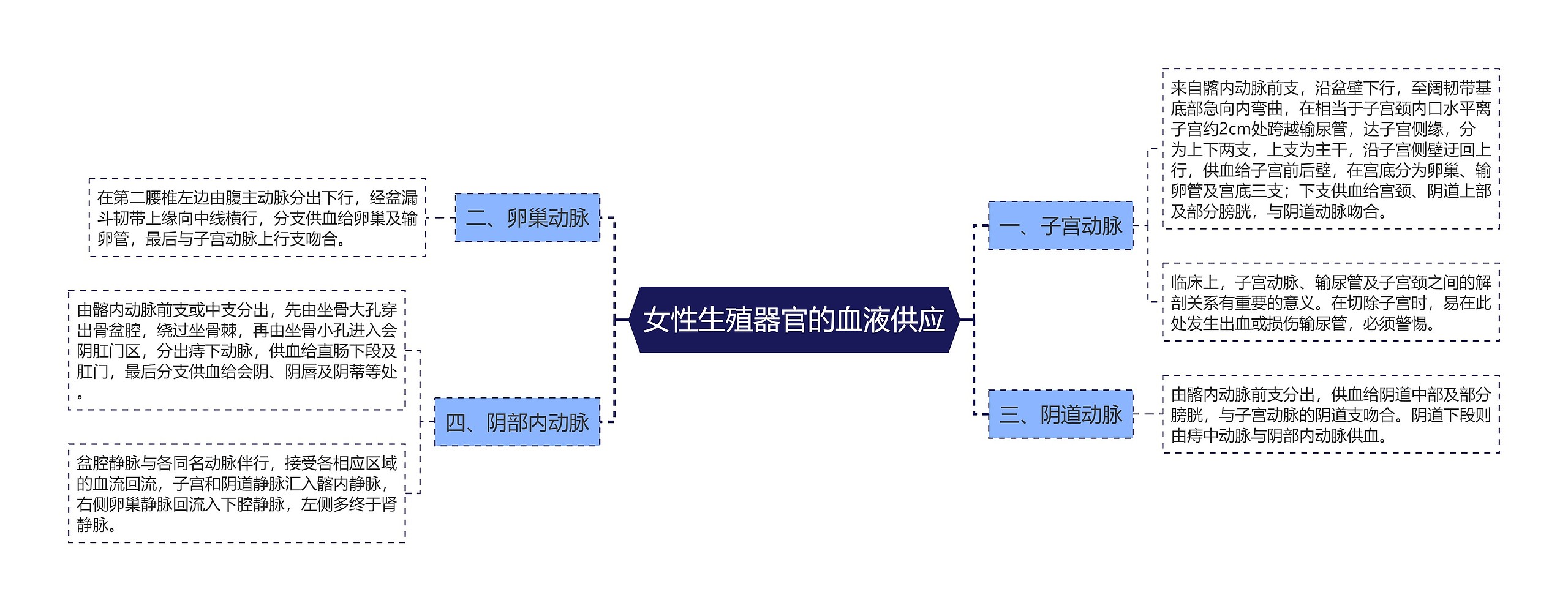 女性生殖器官的血液供应