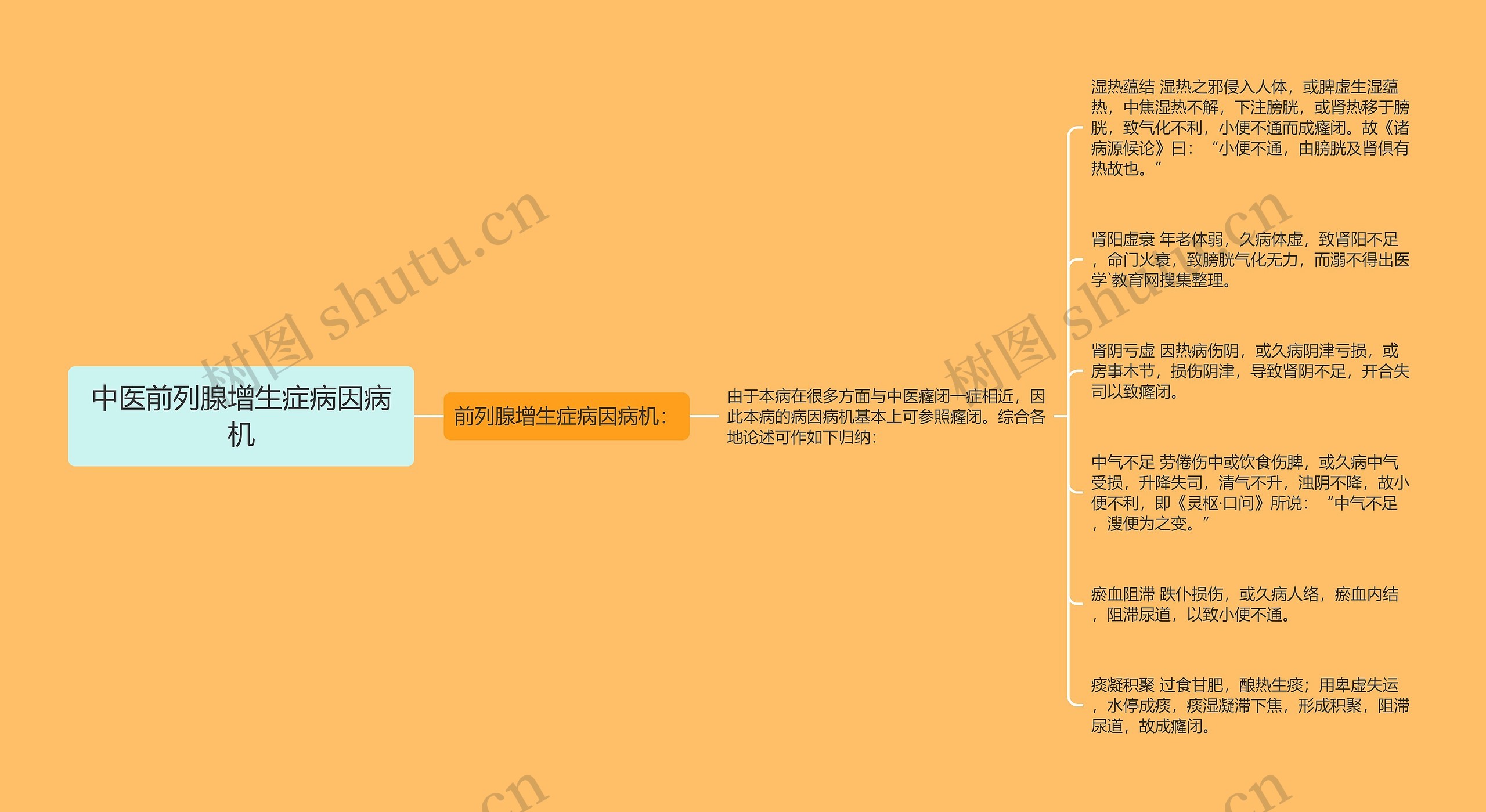 中医前列腺增生症病因病机