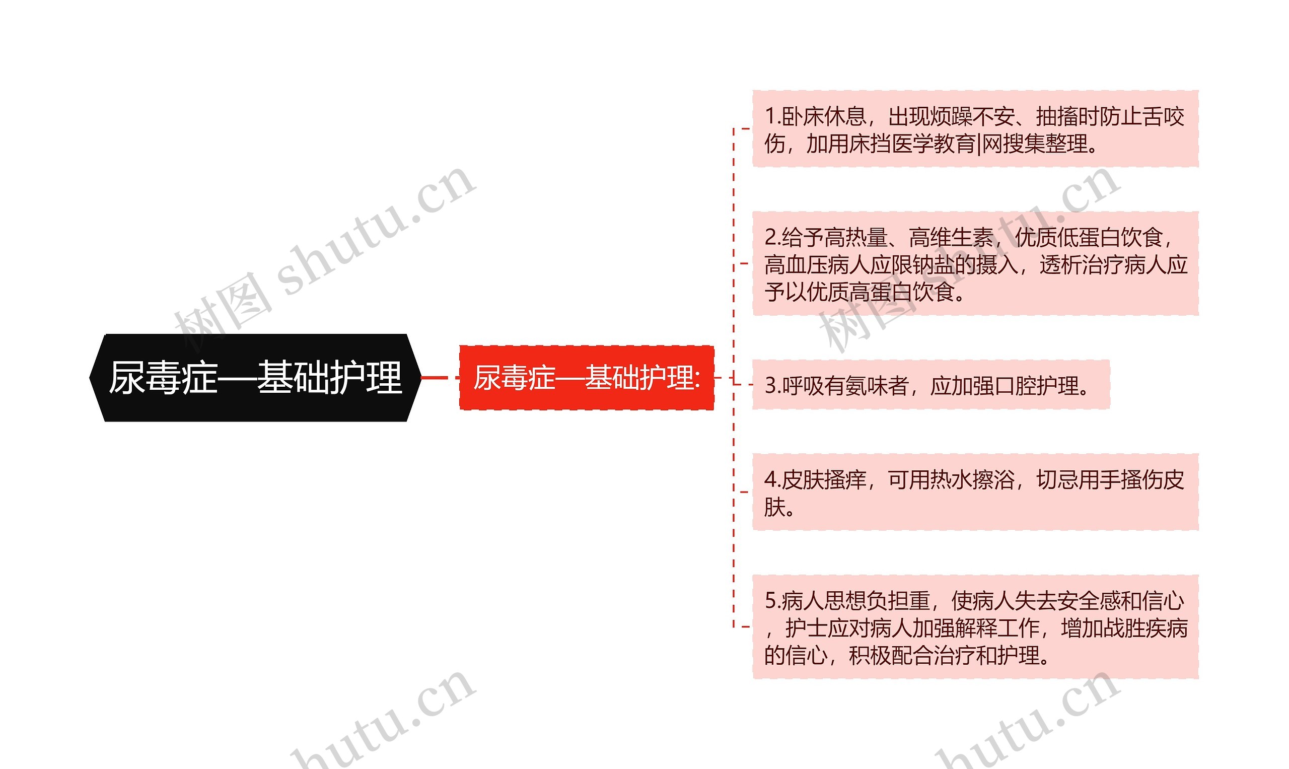 尿毒症—基础护理