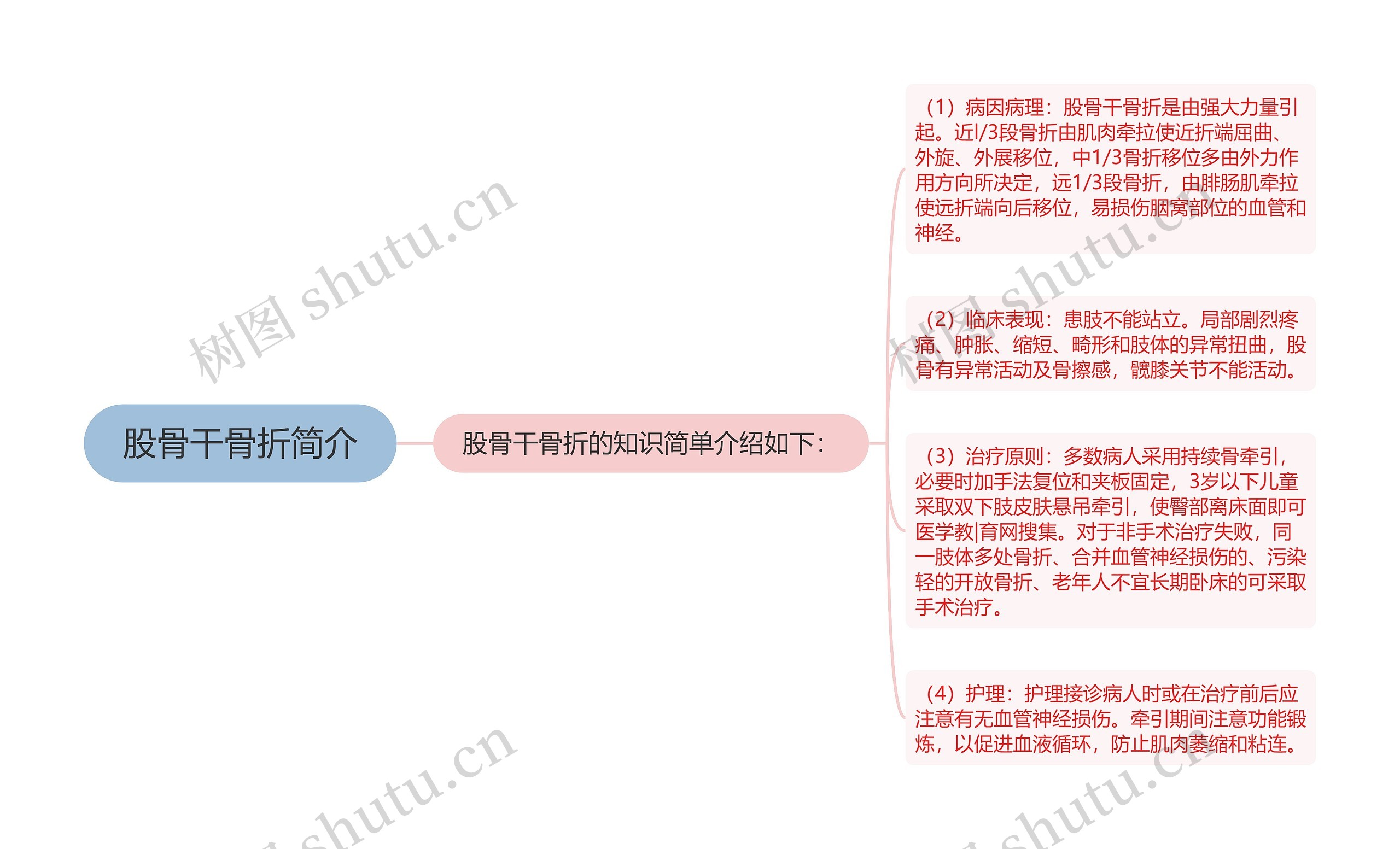 股骨干骨折简介 股骨干骨折简介